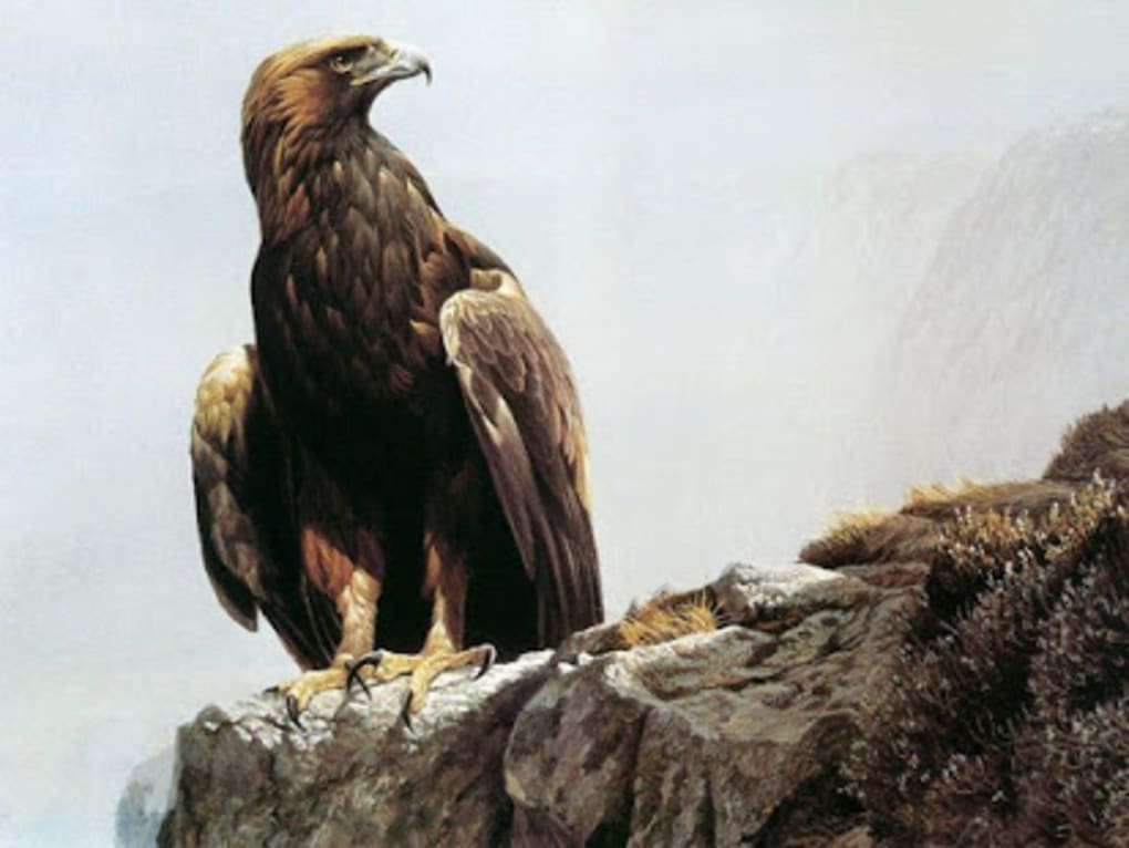 Eagle Hd Wallpaper - Realistic Oil Painting Animal , HD Wallpaper & Backgrounds