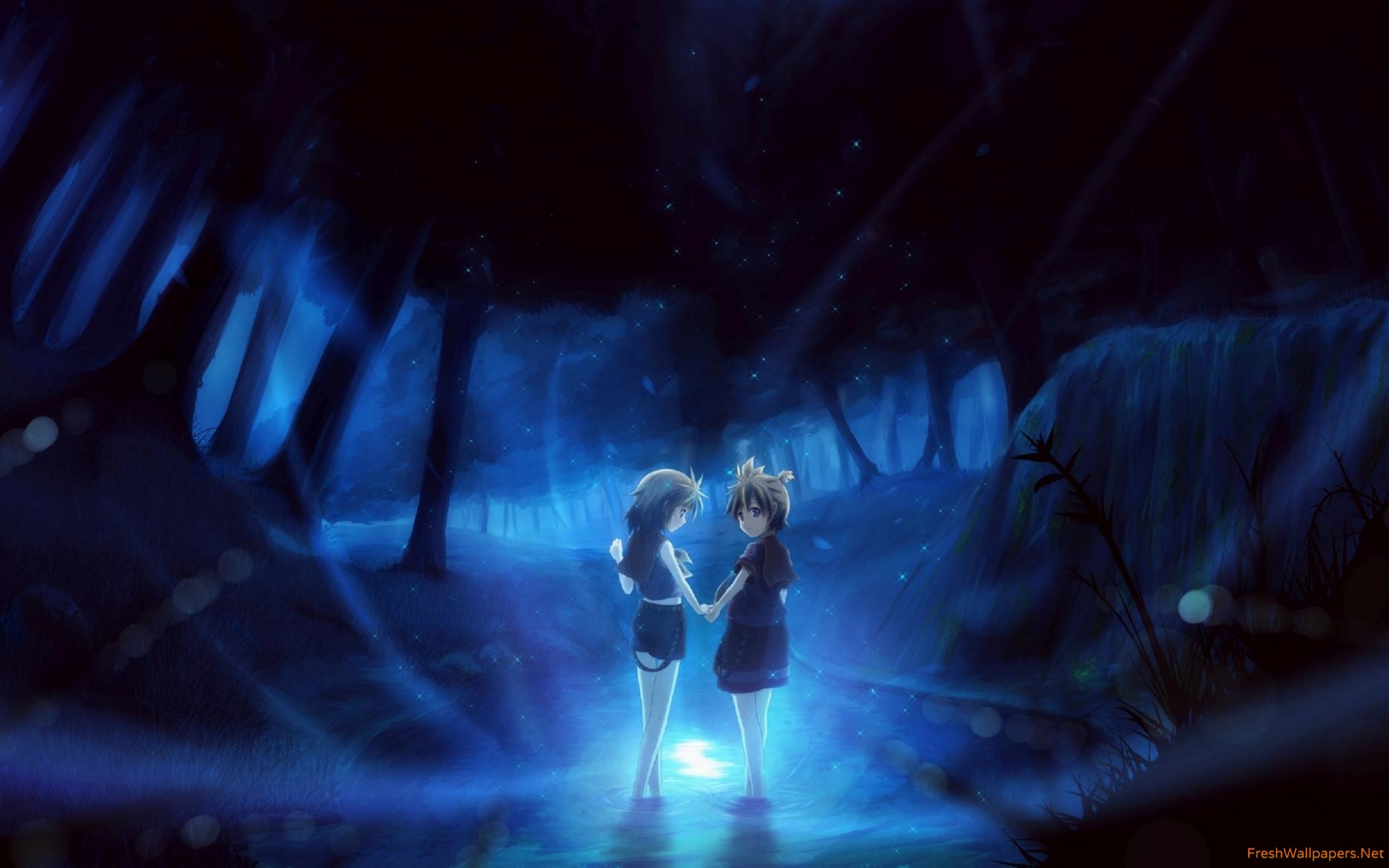 Dark Forest Wallpaper Anime , HD Wallpaper & Backgrounds