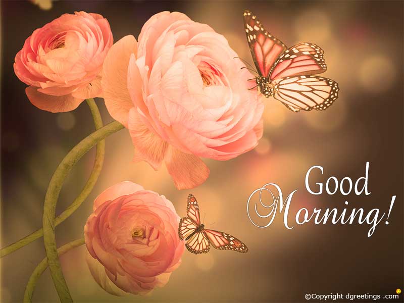 Good Morning Images Different , HD Wallpaper & Backgrounds