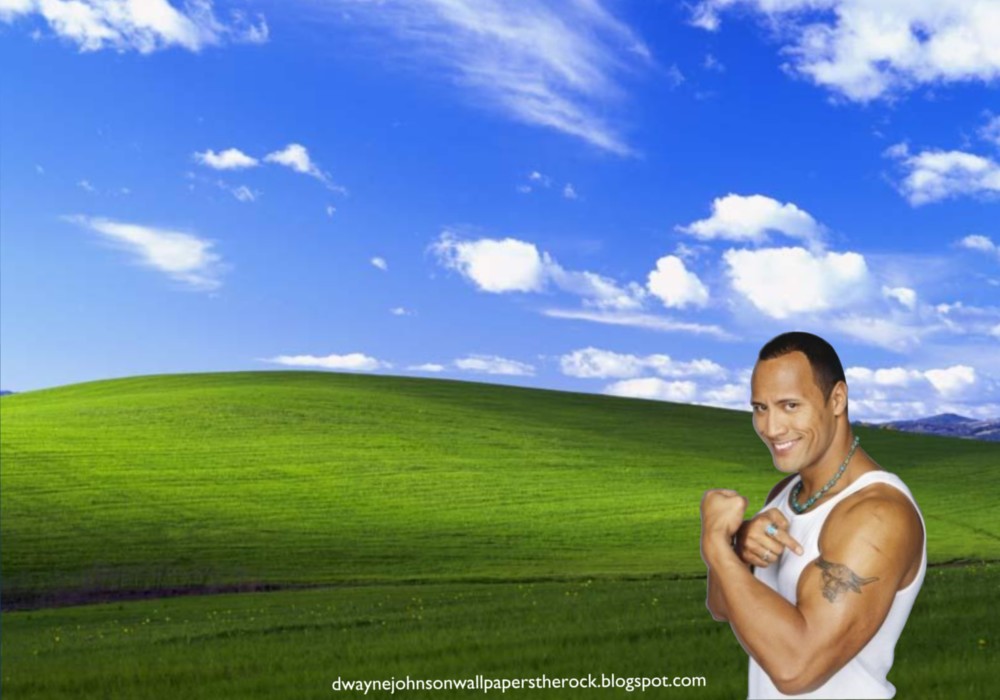 The Rock wallpaper4k funny