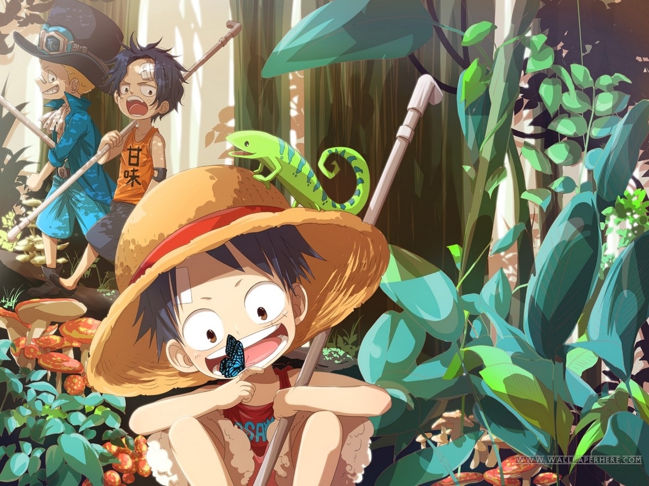 One Piece Ace Luffy And Sabo , HD Wallpaper & Backgrounds