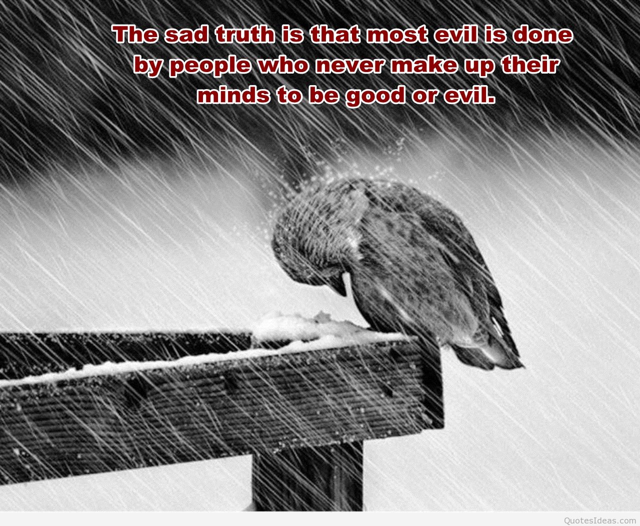 Cute Sad Rain Photo Quote - Love Sad Rain Quotes , HD Wallpaper & Backgrounds