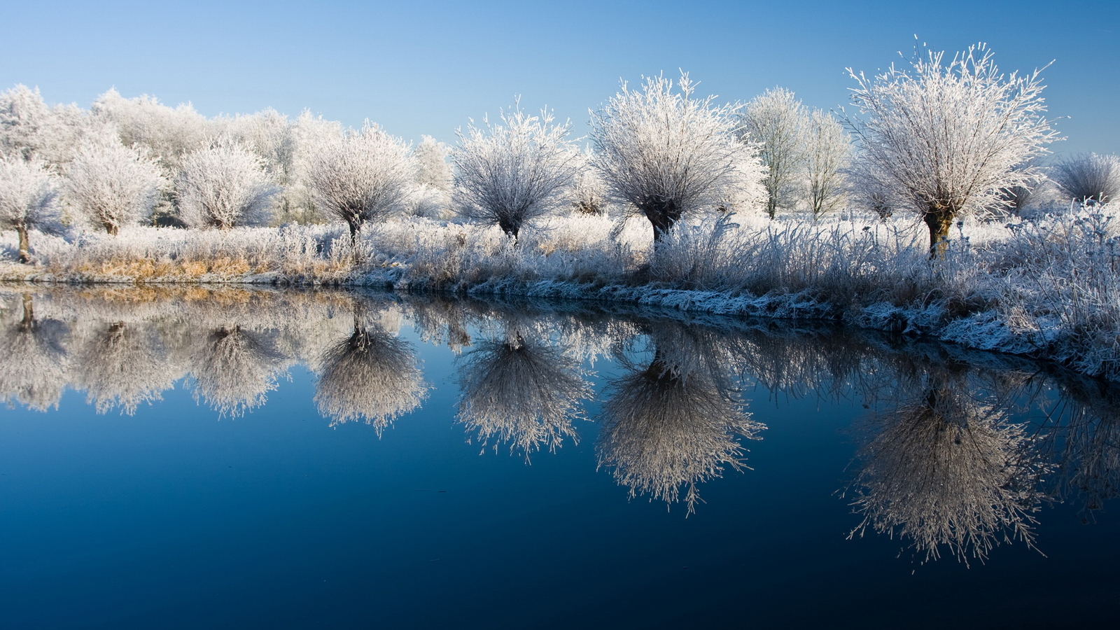 Encyclopedia Natural Aesthetic Snow Wallpaper - Winter Trees Lake , HD Wallpaper & Backgrounds