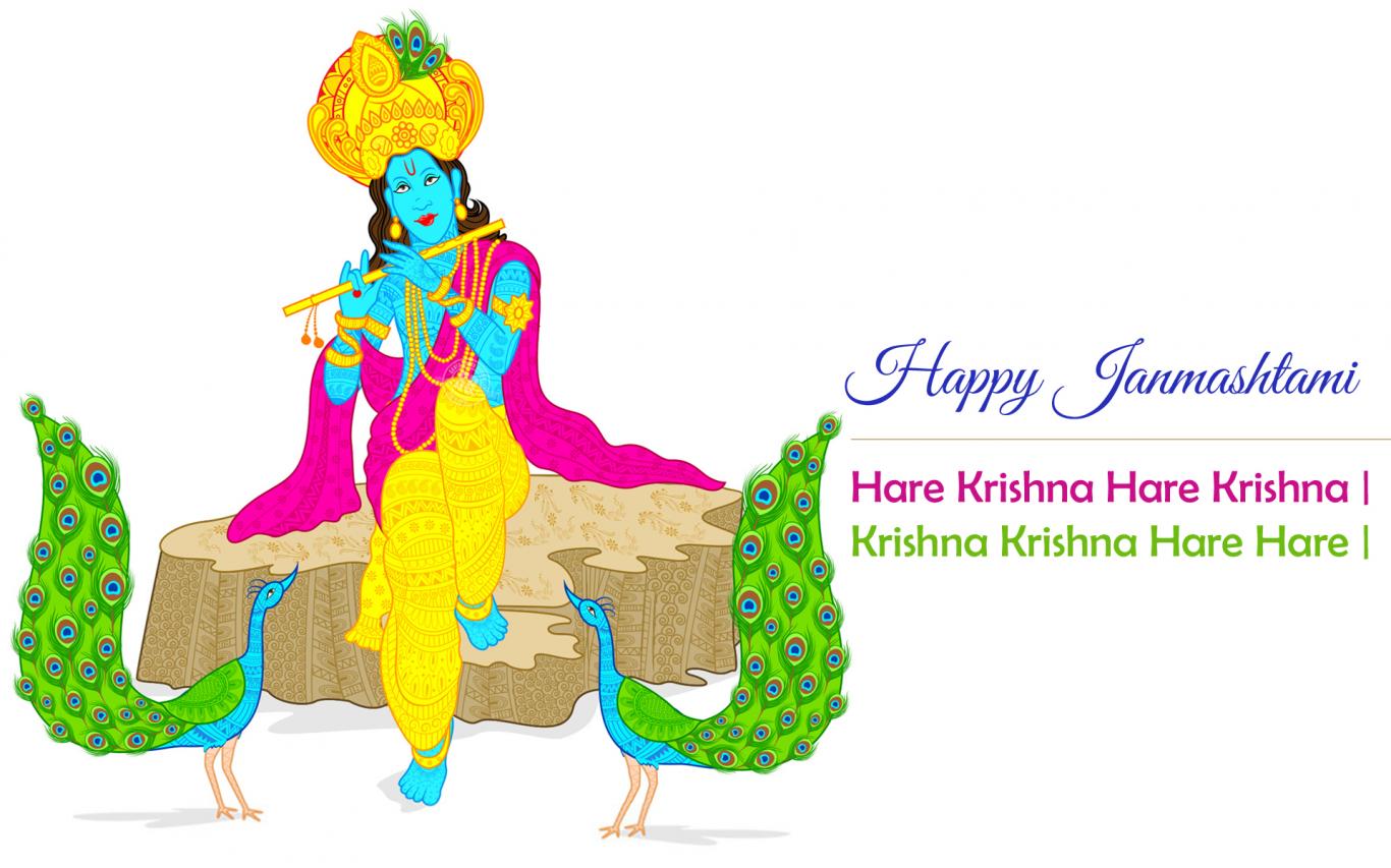 Krishna , HD Wallpaper & Backgrounds