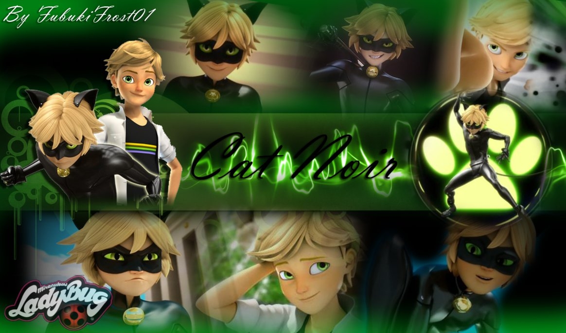 Best Miraculous Ladybug And Cat Noir Wallpapers - Chat Noir Wallpaper Miraculous Ladybug , HD Wallpaper & Backgrounds