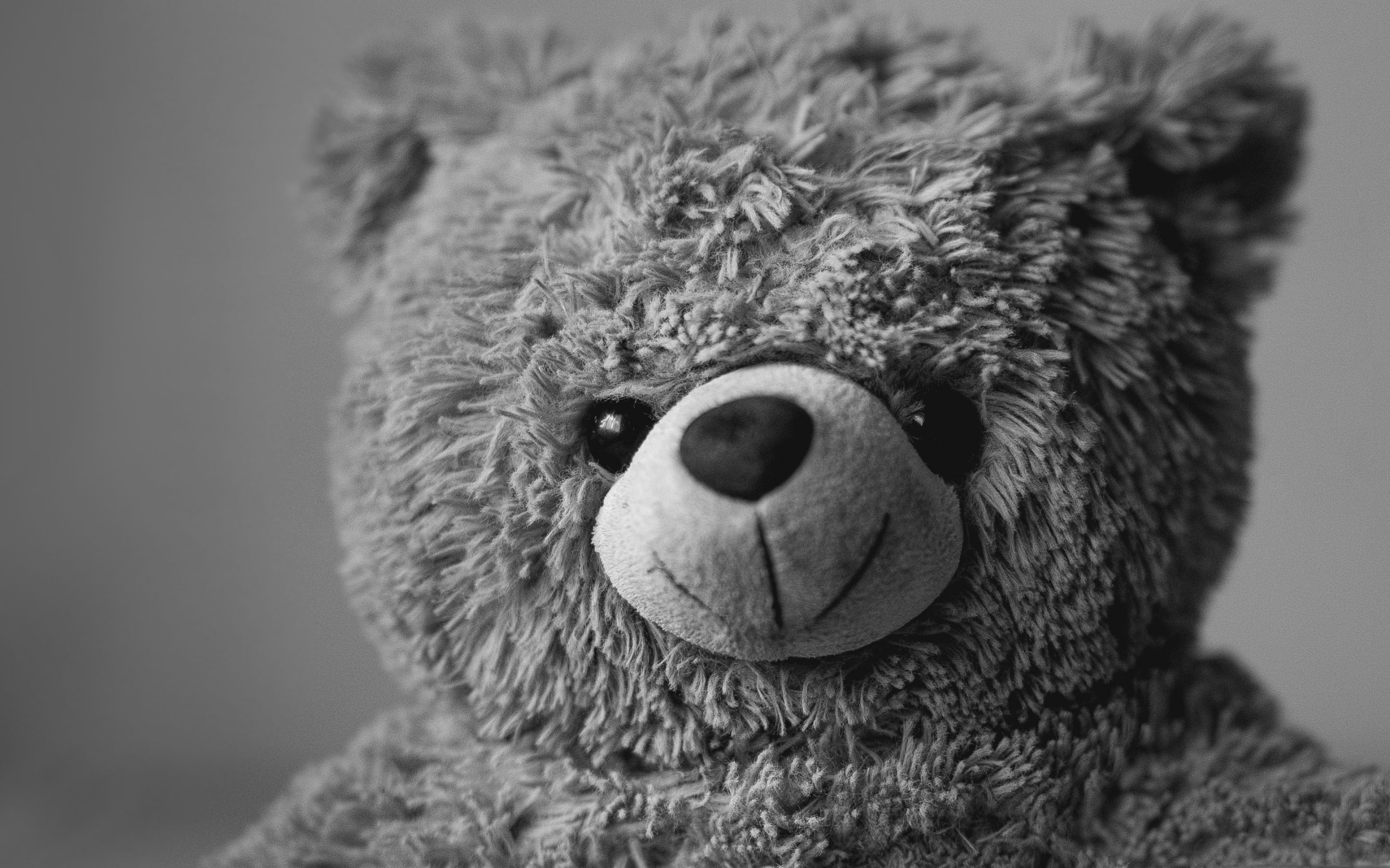 Teddy Bear Black And White , HD Wallpaper & Backgrounds