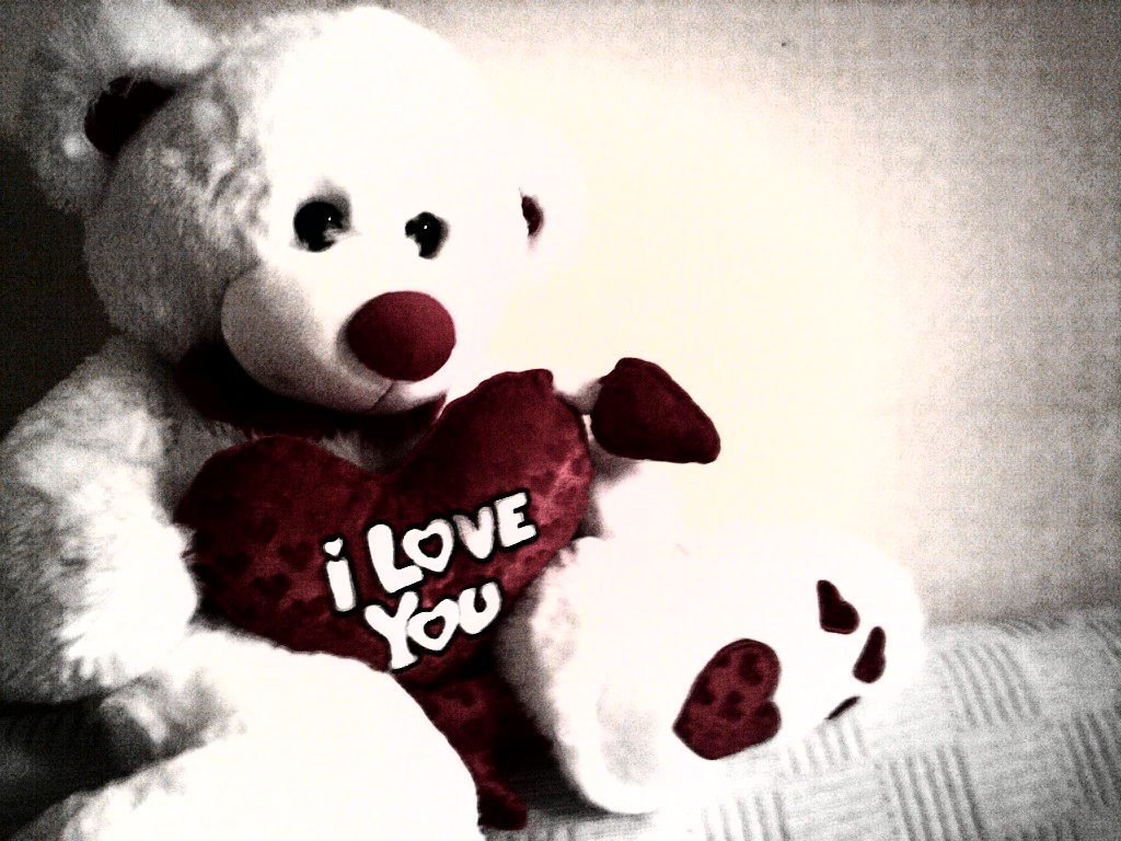 Teddy Bear Wallpaper Free Download Teddy Bear Love Hd 251218 Teddy Bear Wallpaper Free Download Teddy Bear Love Hd 251218