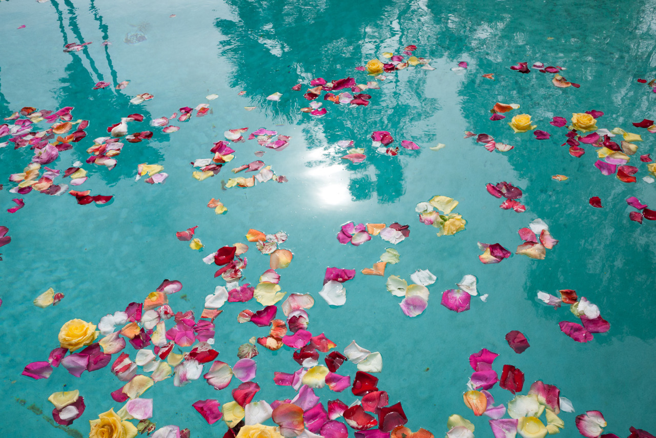 Pool Water Tumblr Wallpaper Nike Wallpaper Tumblr Nike - Flower Petals In Water , HD Wallpaper & Backgrounds