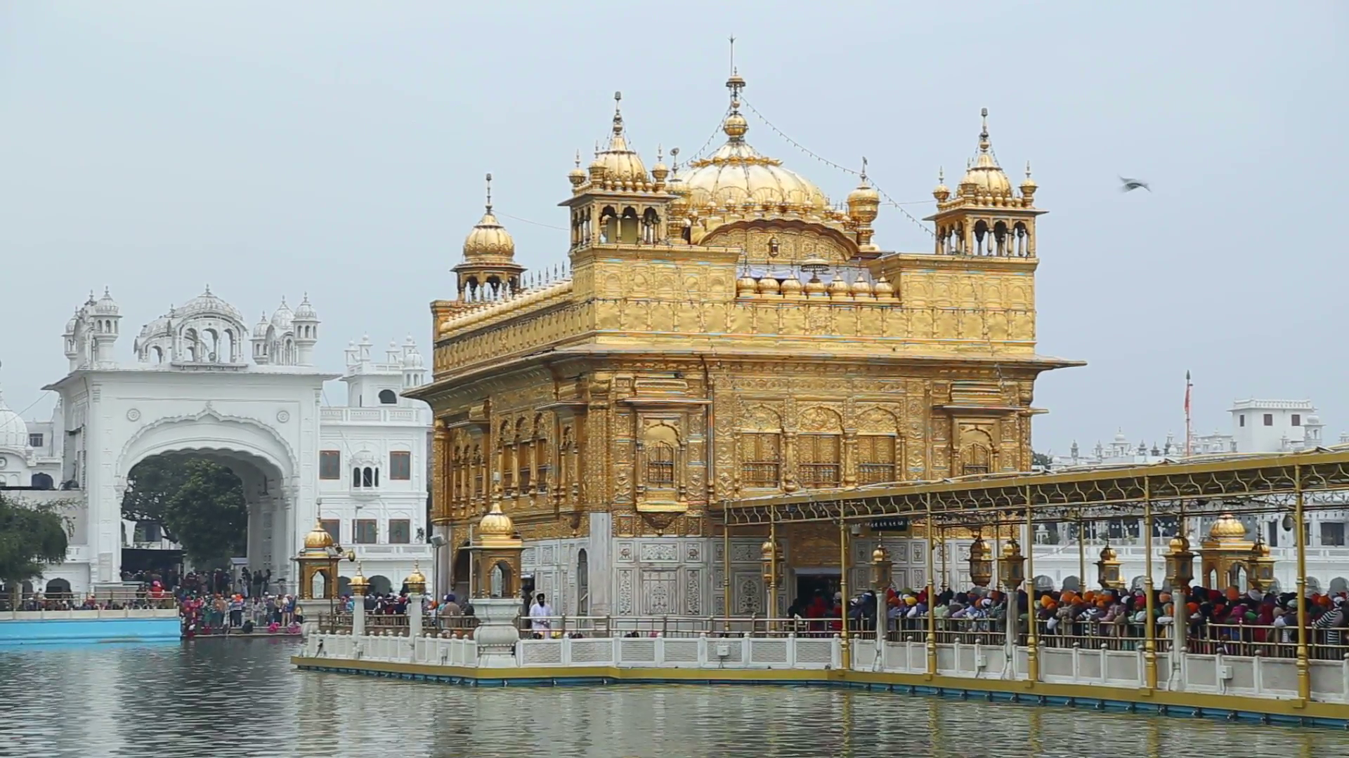 Golden Temple In Amritsar, With Water In Front And - Golden Temple , HD Wallpaper & Backgrounds