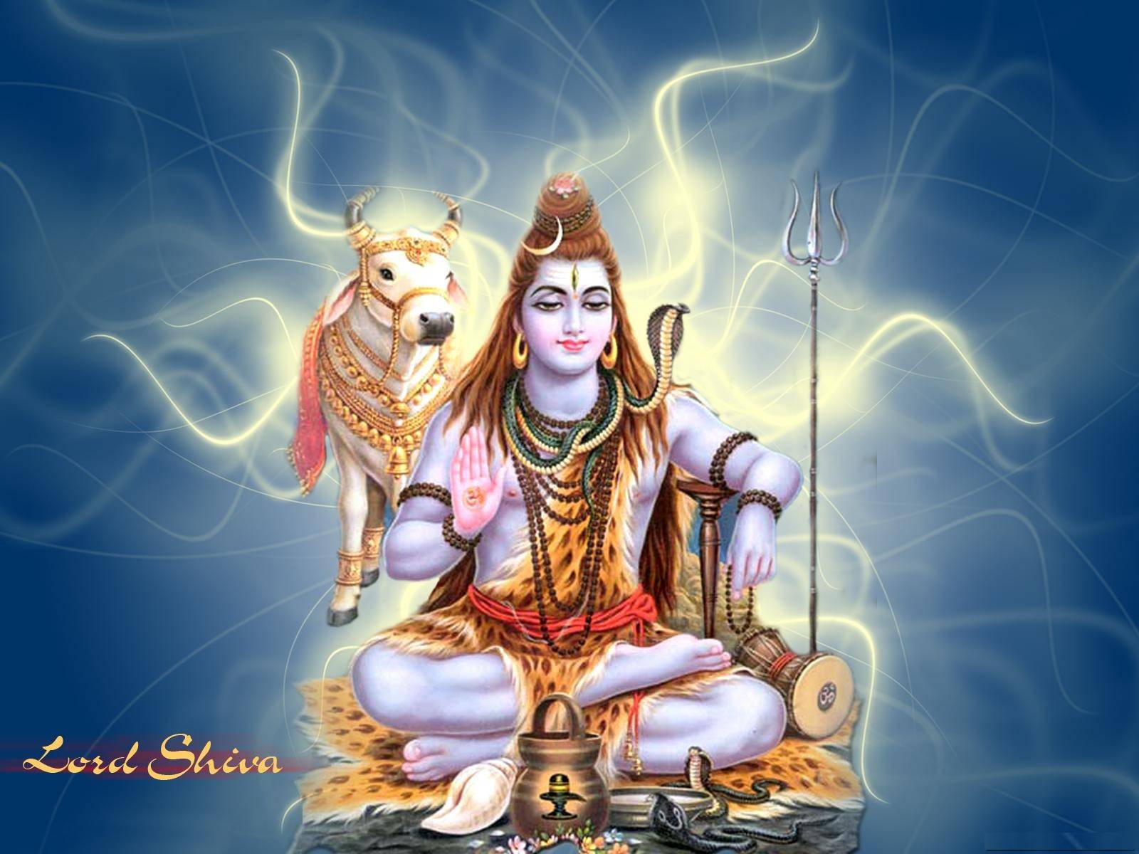Shivratri Wallpapers - Lord Shiva , HD Wallpaper & Backgrounds