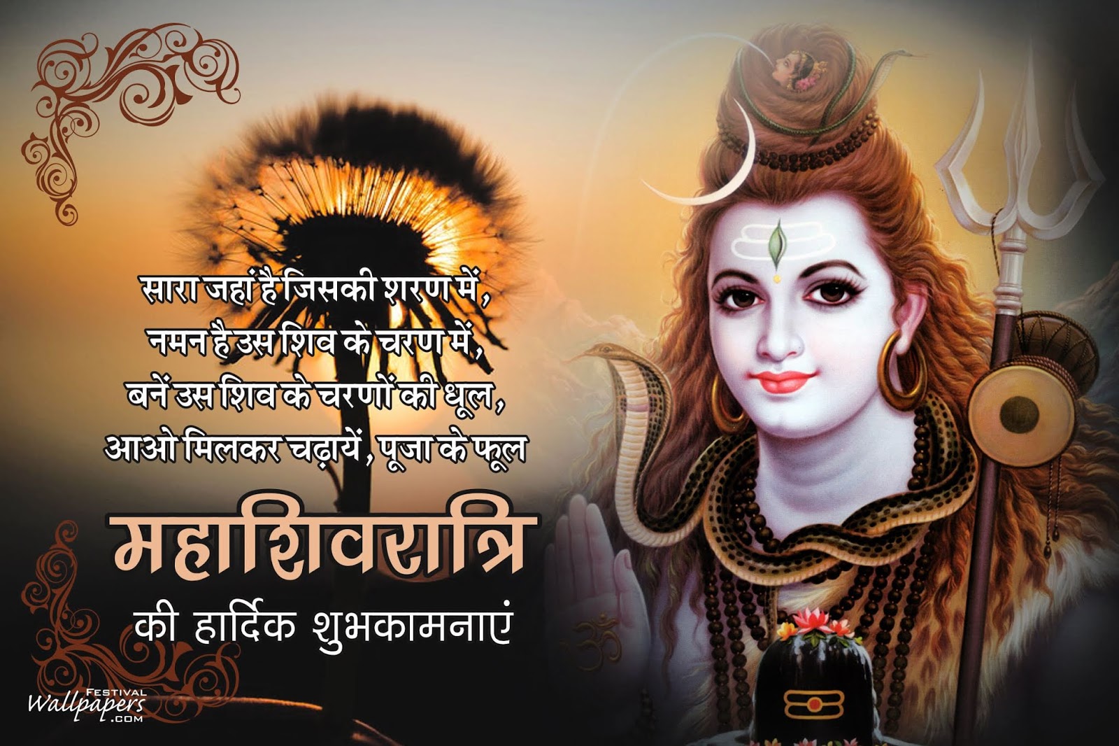 15 Best Maha Shivratri Wishes Images And Wallpapers - Best Wishes For Mahashivratri , HD Wallpaper & Backgrounds