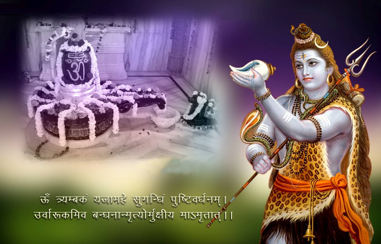 Happy Maha Shivratri Download Hd Wallpapers - Good Morning Images Mahashivratri , HD Wallpaper & Backgrounds