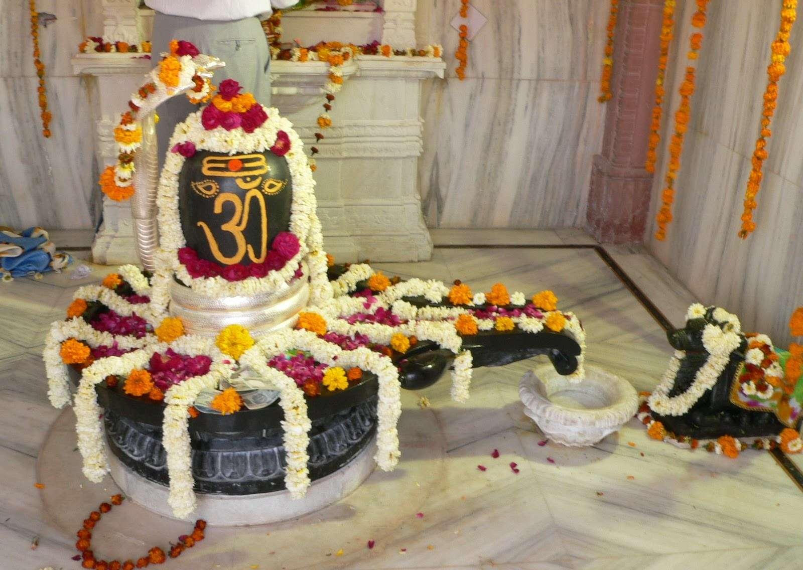 Festival Maha Shivratri Shivling Lord Shiva Hd Wallpapers - Good Morning Happy Mahashivratri , HD Wallpaper & Backgrounds