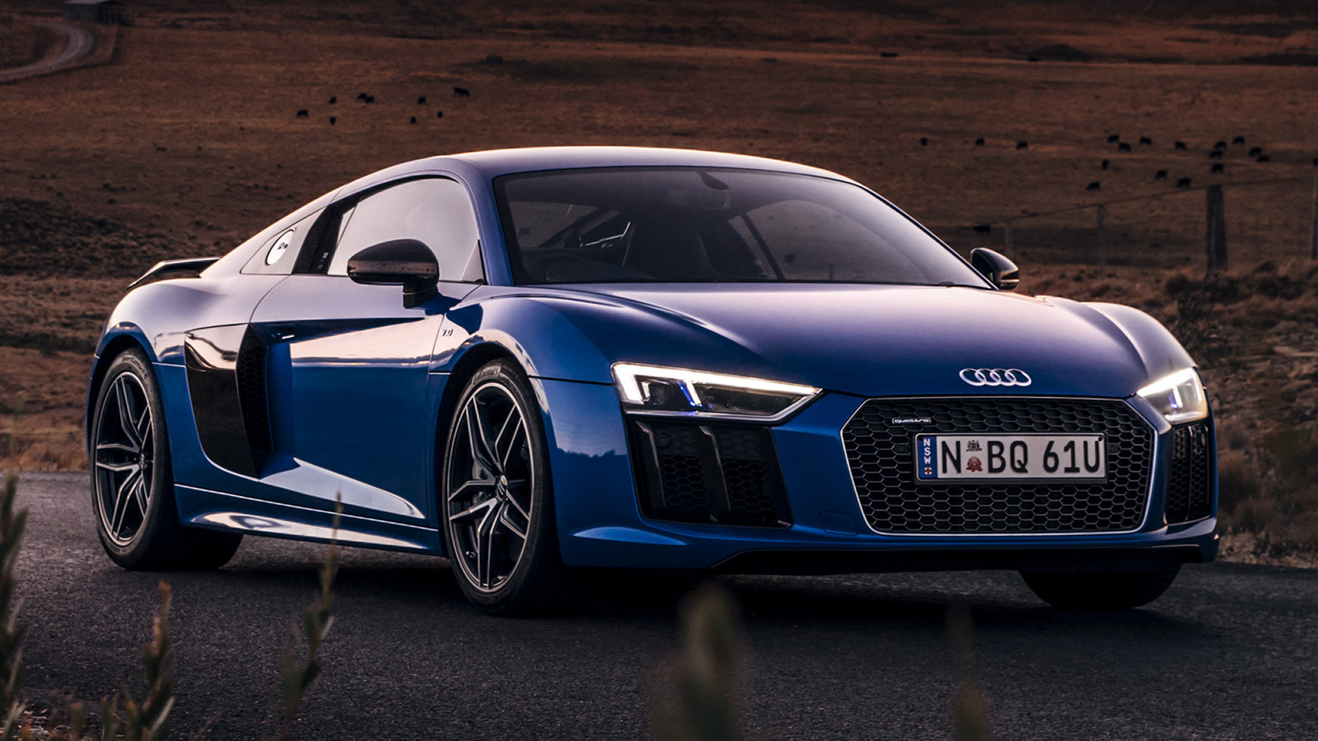 Cars Wallpapers Best Of 2016 Audi R8 Lms Wallpaper - Audi R8 , HD Wallpaper & Backgrounds