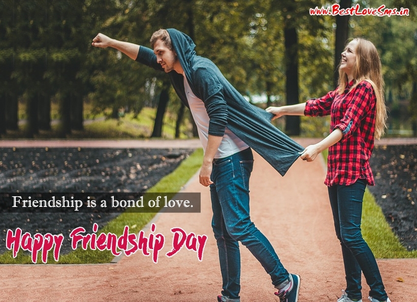 Friendship Day Love Quotes - Want A Guy Best Friend , HD Wallpaper & Backgrounds