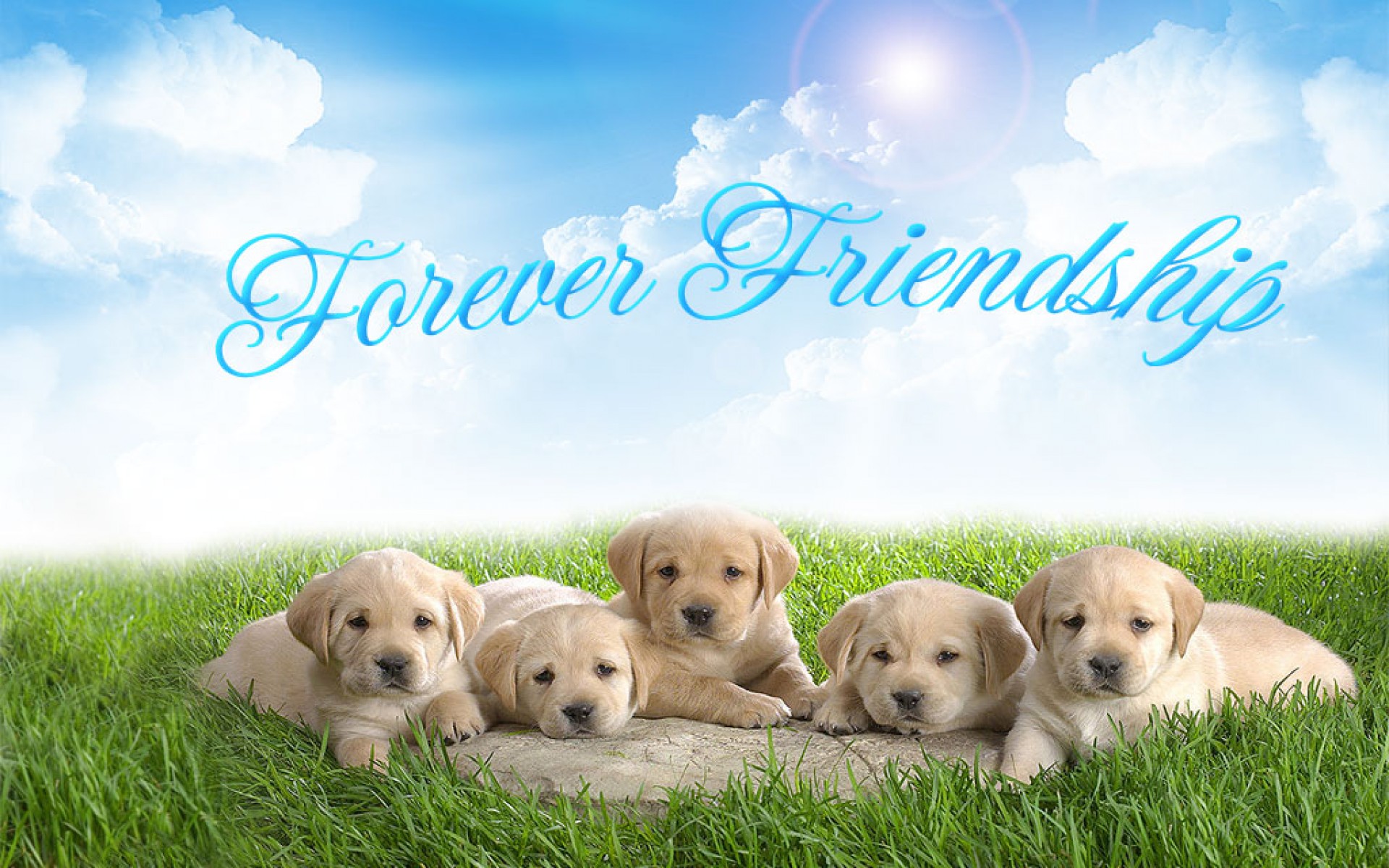 Friendship Hd Wallpapers For Friendship Day - Dosti Wallpaper Free Download , HD Wallpaper & Backgrounds