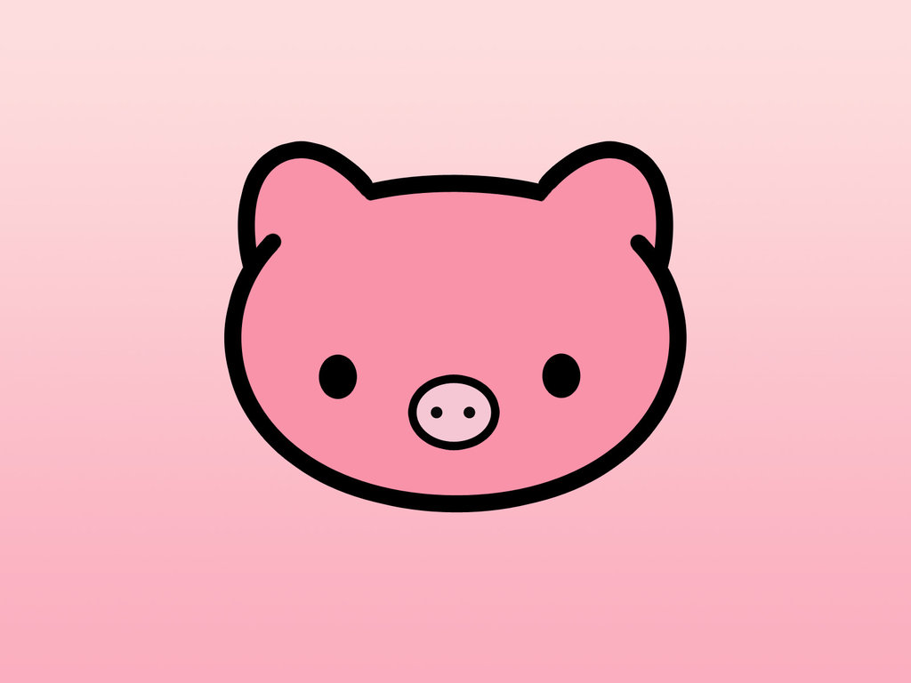 Cute Pig Wallpapers For Ipad - Hello Piggy , HD Wallpaper & Backgrounds