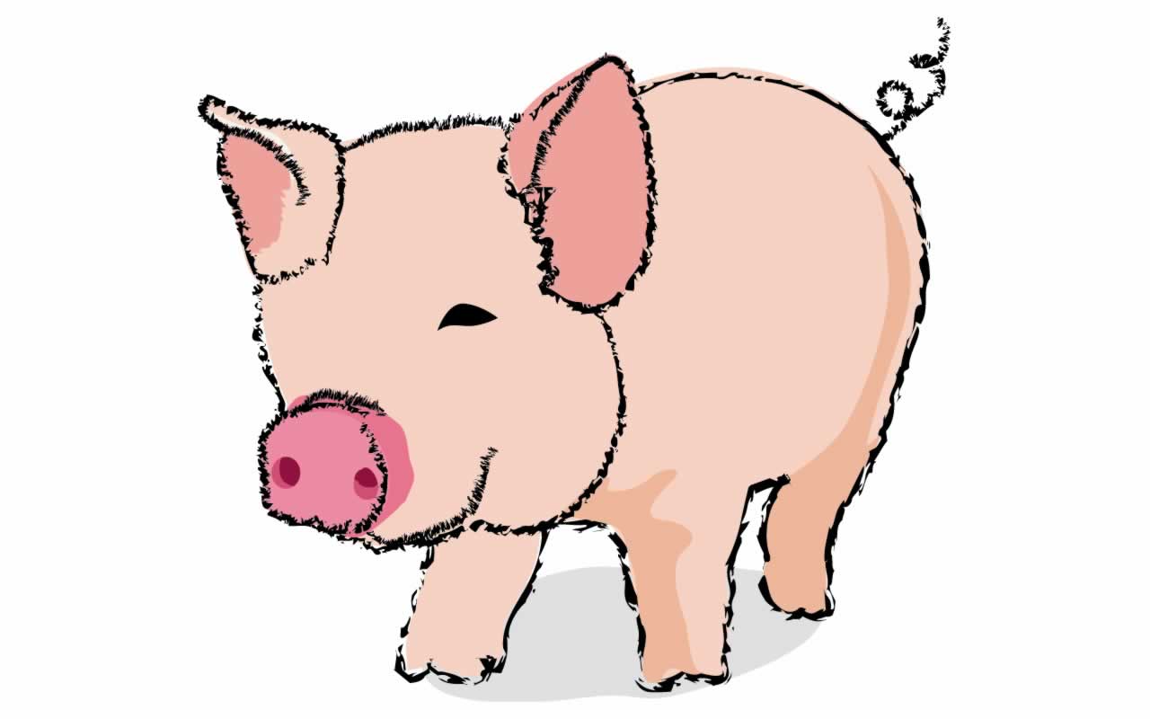 Cute Pig Pictures Cartoon - Domestic Pig , HD Wallpaper & Backgrounds