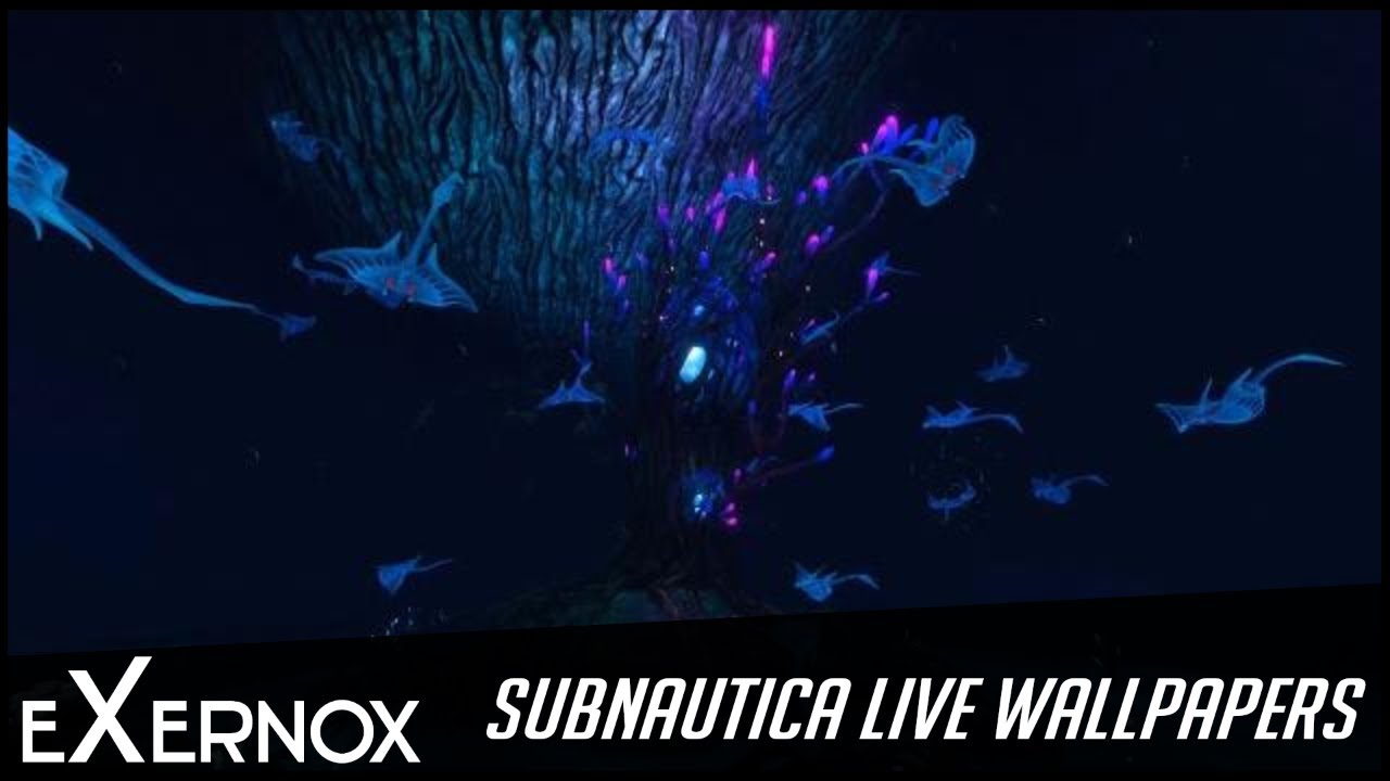 Subnautica Live Wallpaper Fhd - Subnautica Live , HD Wallpaper & Backgrounds