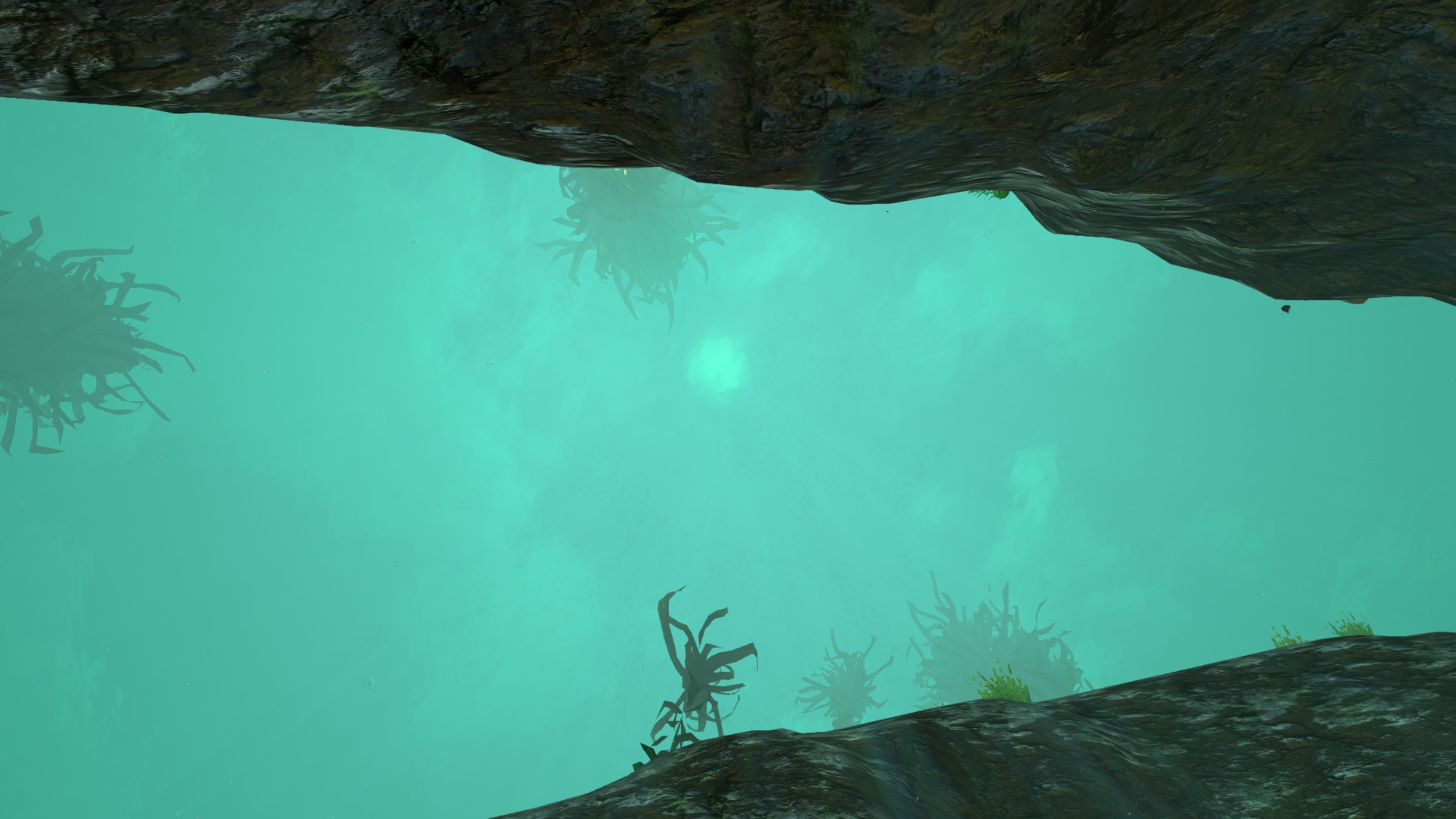 Subnautica - Underwater , HD Wallpaper & Backgrounds