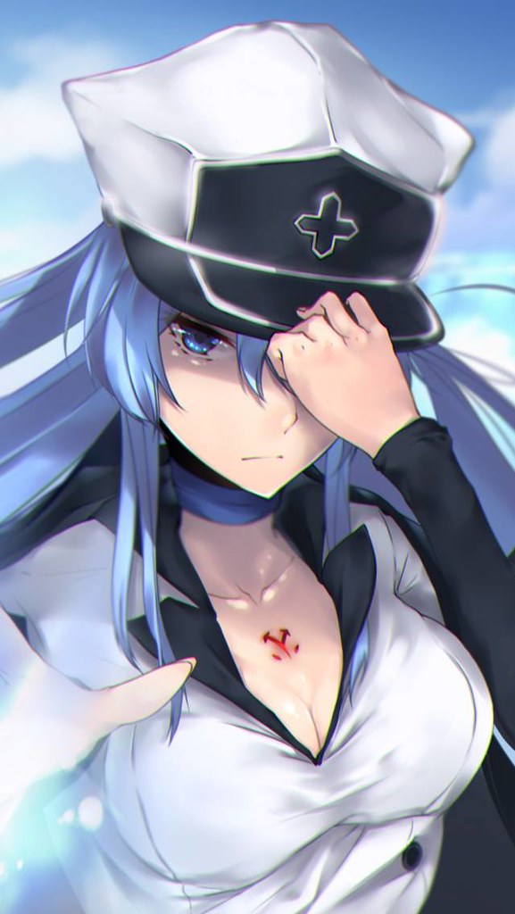 Whatsapp - Akame Ga Kill Esdeath Art , HD Wallpaper & Backgrounds