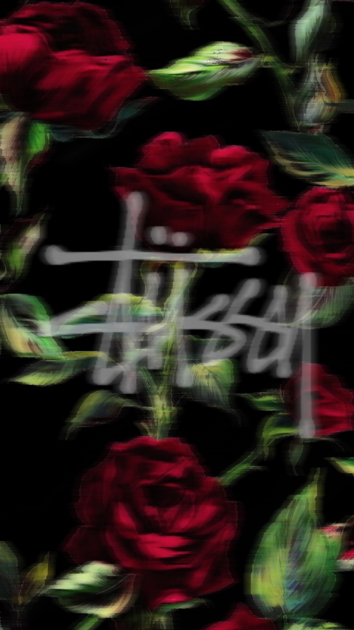 Black, Rose, And Stussy Image - Garden Roses , HD Wallpaper & Backgrounds