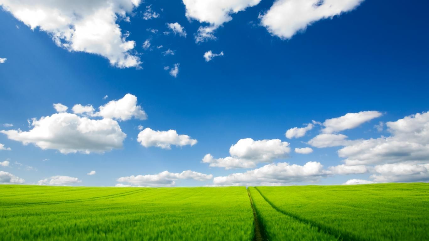 Field And Sky Background , HD Wallpaper & Backgrounds