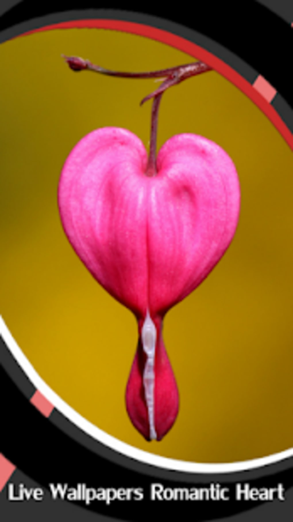 Live Wallpapers Romantic Heart - Corazón Romántico , HD Wallpaper & Backgrounds