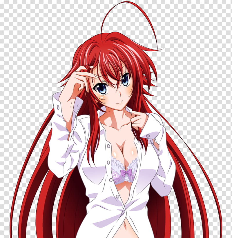 High School Dxd Png , HD Wallpaper & Backgrounds