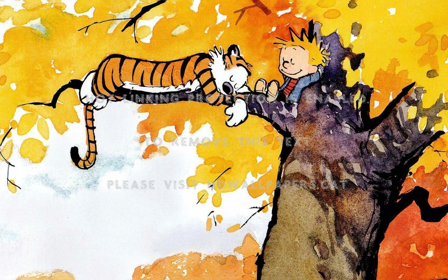 Calvin & Hobbes Funny Entertainment Cartoon - Calvin And Hobbes , HD Wallpaper & Backgrounds