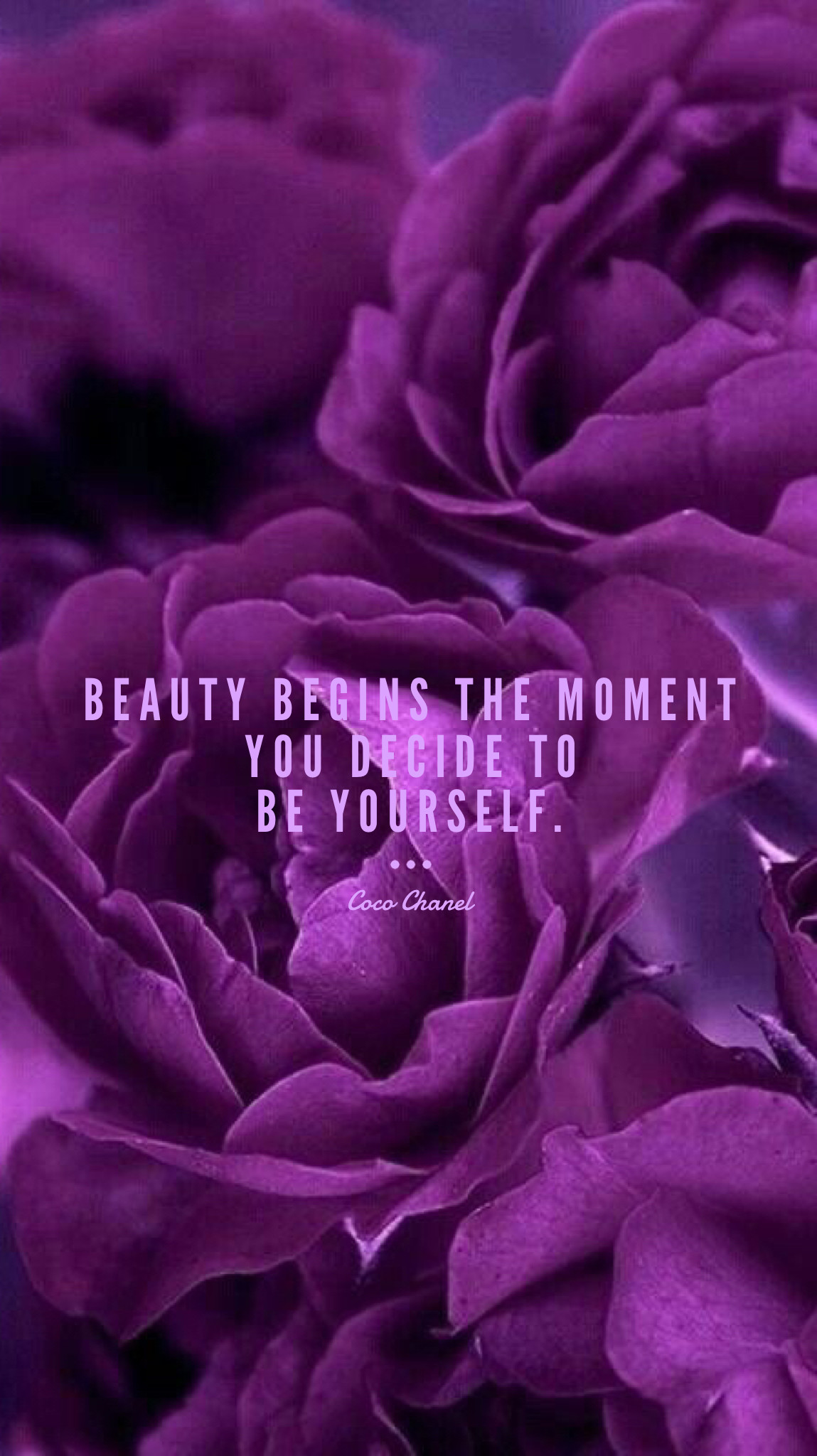 Flowerfulâ¢ Quotes Iphone Mobile Wallpaper Edits @evaland - Purple Roses Wallpaper Iphone , HD Wallpaper & Backgrounds