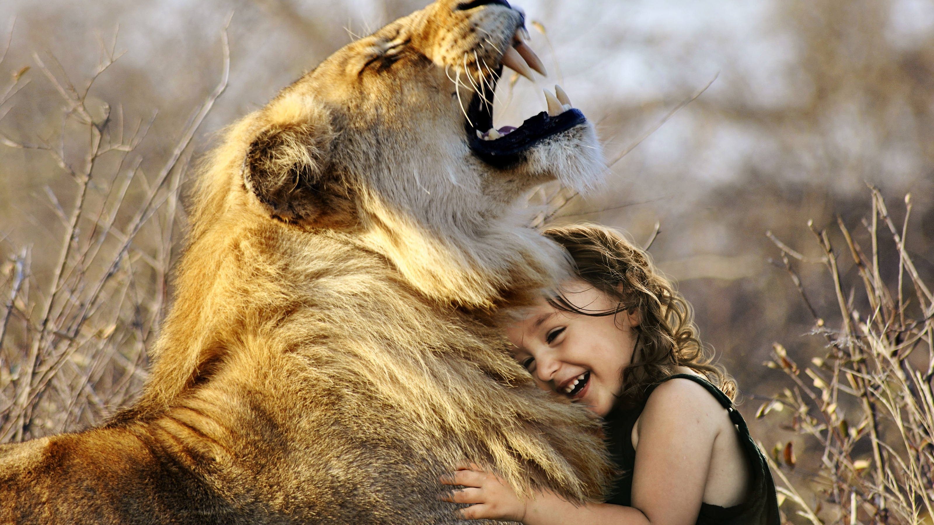 Cute Girl With Lion , HD Wallpaper & Backgrounds