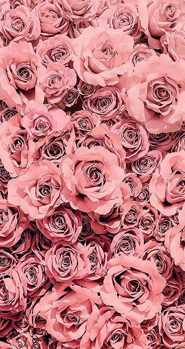 Rose Gold Hintergrundbilder Iphone Hd Wallpaper Backgrounds Download