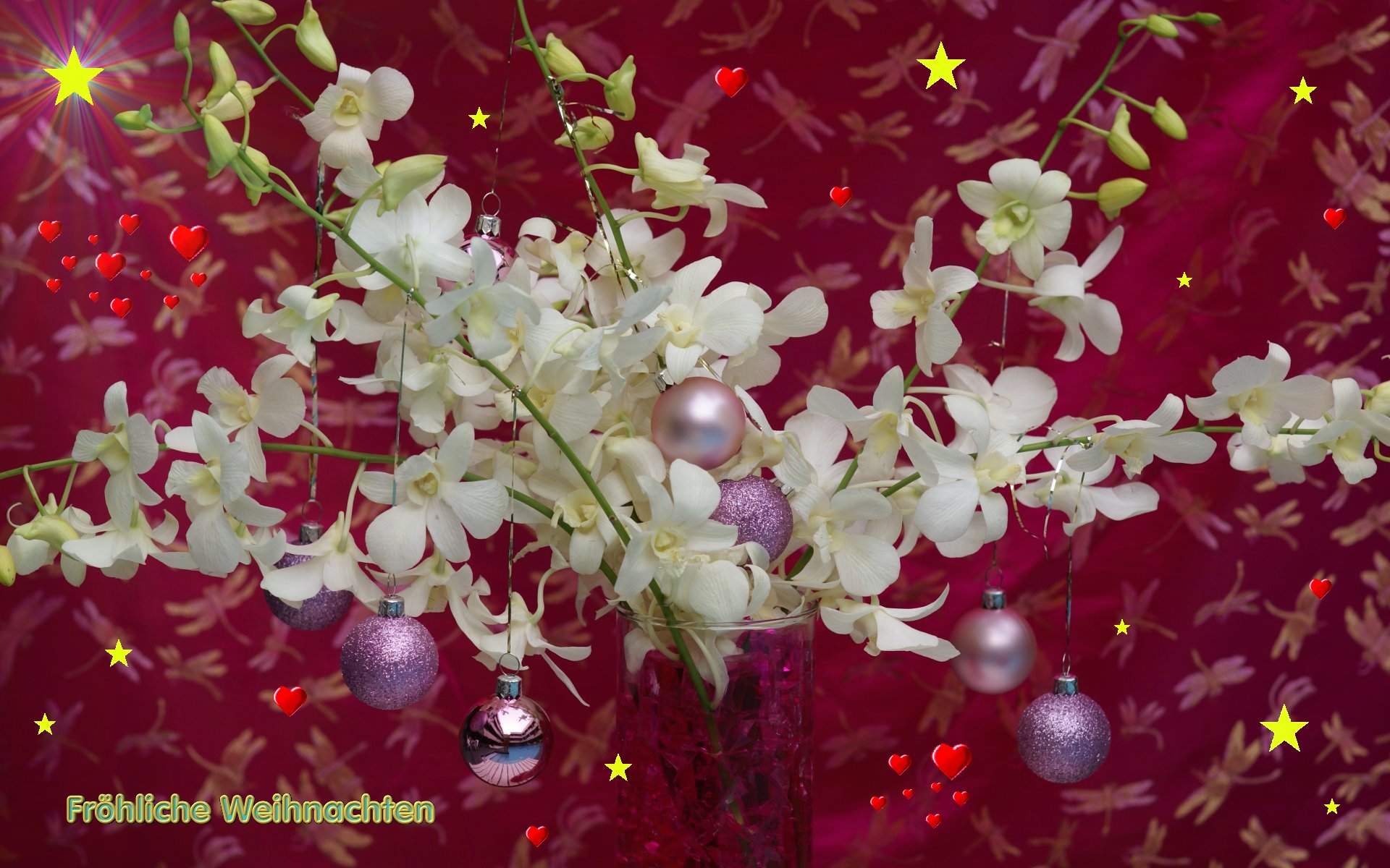 Merry Christmas Flowers , HD Wallpaper & Backgrounds