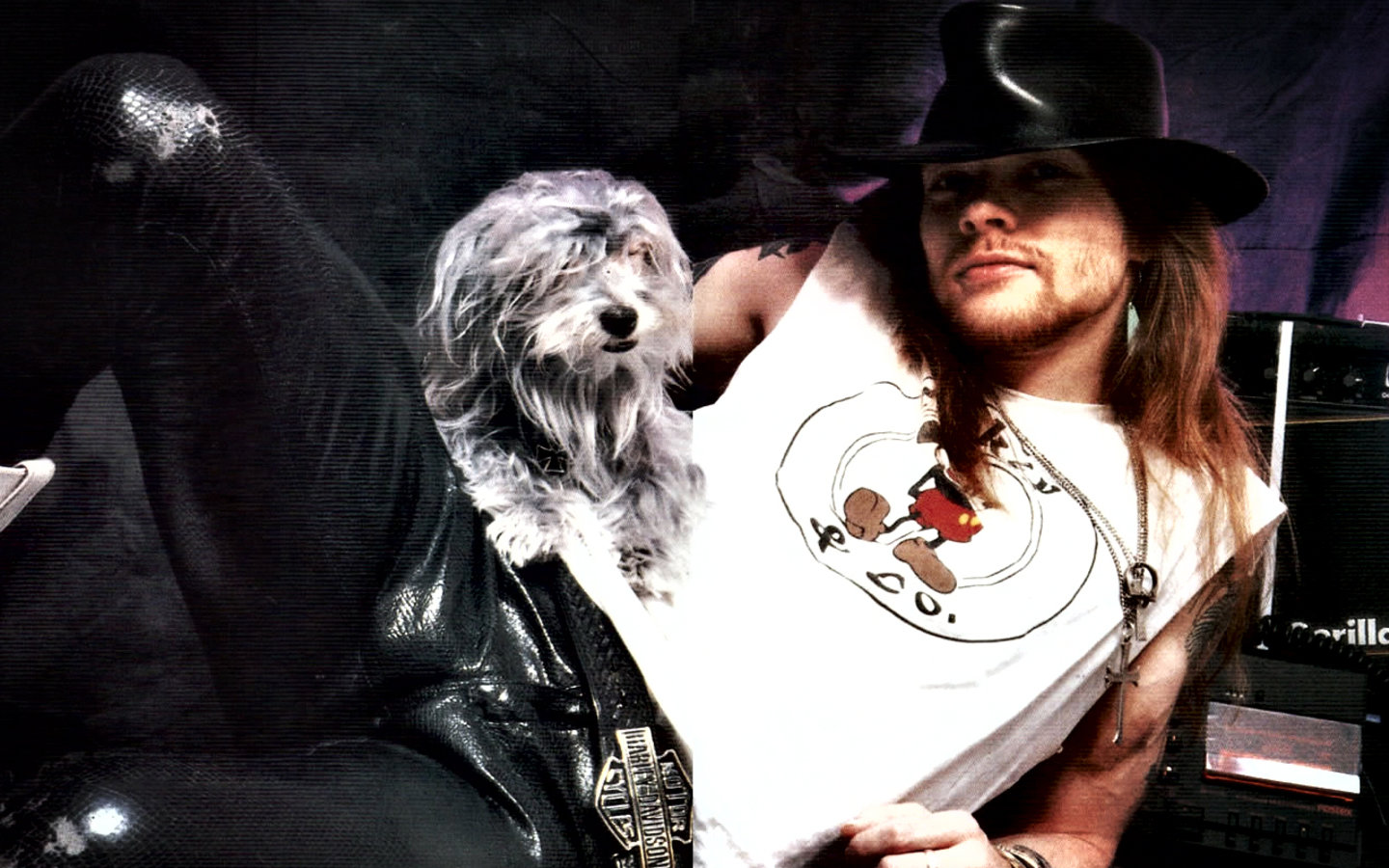 Free Guns N - Axl Rose And His Dog , HD Wallpaper & Backgrounds