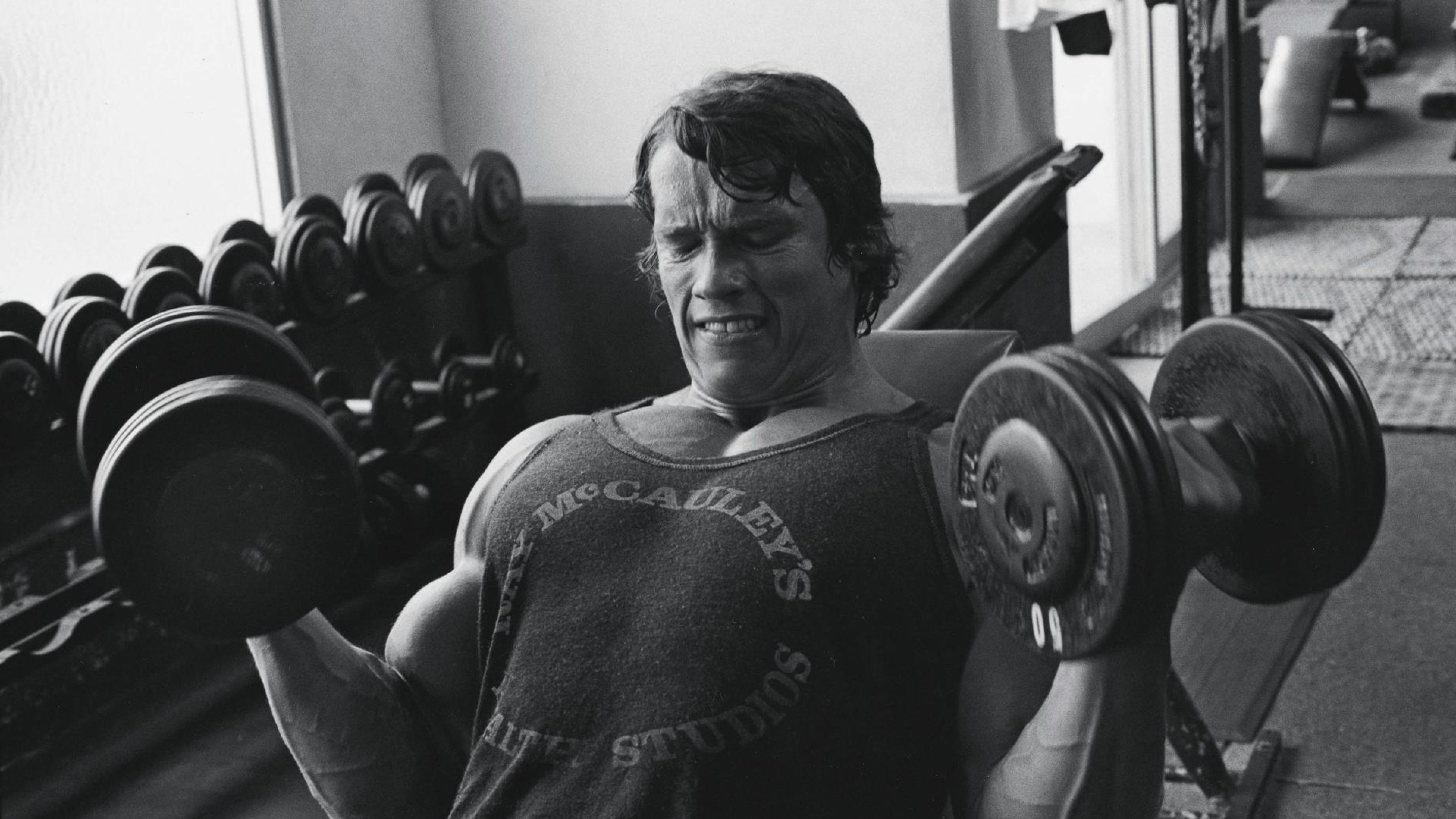 Arnold Schwarzenegger Bodybuilding 4k , HD Wallpaper & Backgrounds