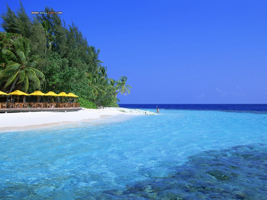 Paradise Beach Maldives Wallpapers 1024*768 No - Blue Sea High Resolution , HD Wallpaper & Backgrounds