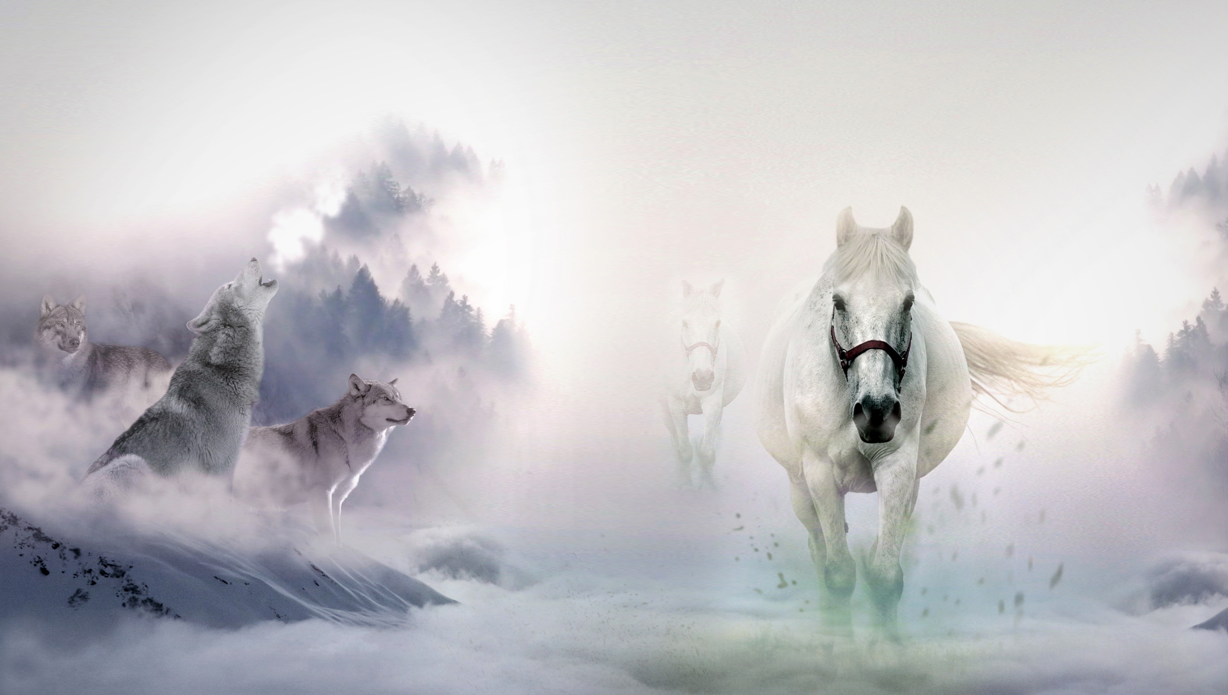 Horses And Wolves , HD Wallpaper & Backgrounds