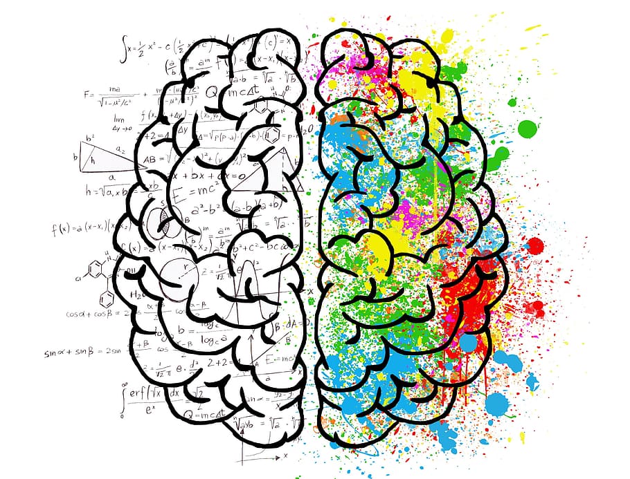 Multicolored Brain Illustration, Mind, Psychology, , HD Wallpaper & Backgrounds