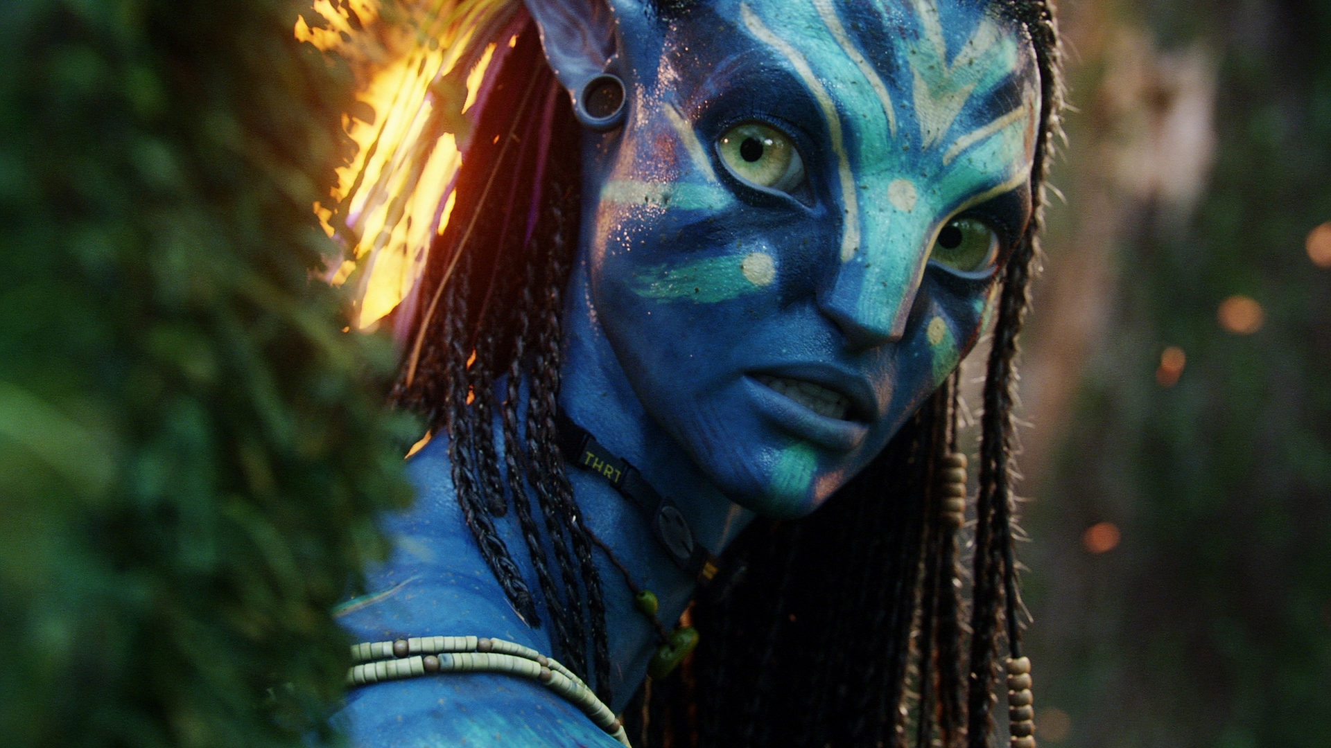 Blue Avatar Movie - Avatar Neytiri War Paint , HD Wallpaper & Backgrounds