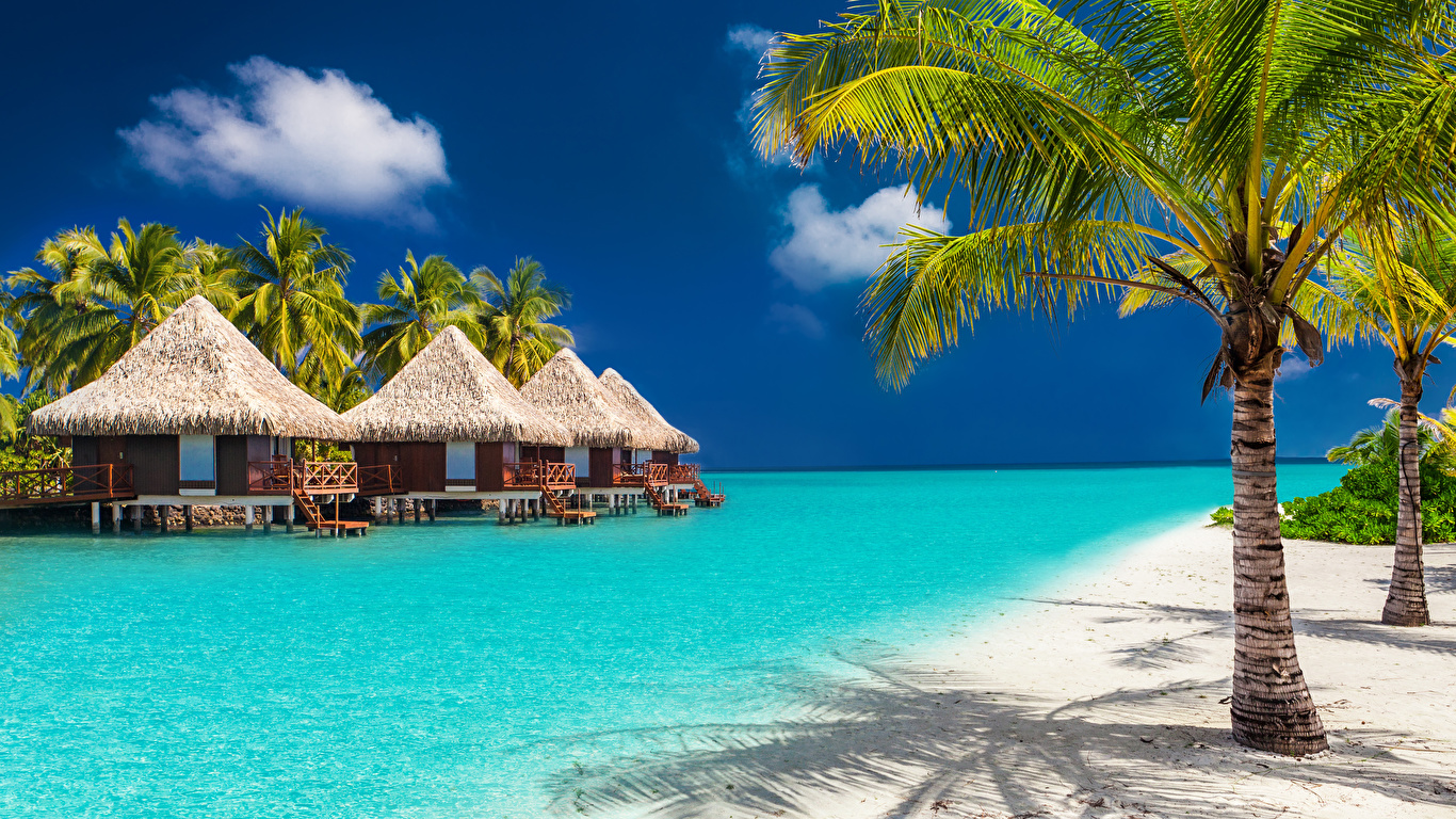 Vacation Bora Bora , HD Wallpaper & Backgrounds