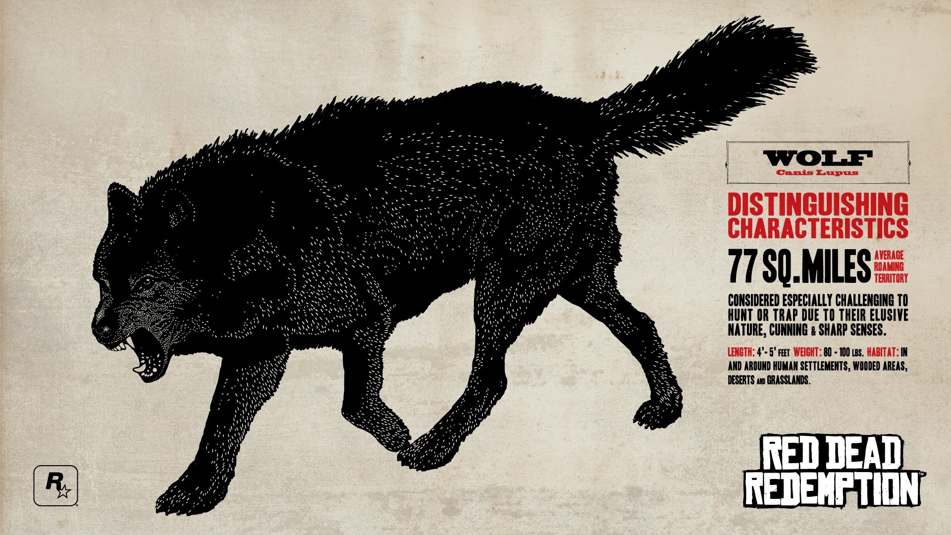 Red Dead Redemption Wolf , HD Wallpaper & Backgrounds