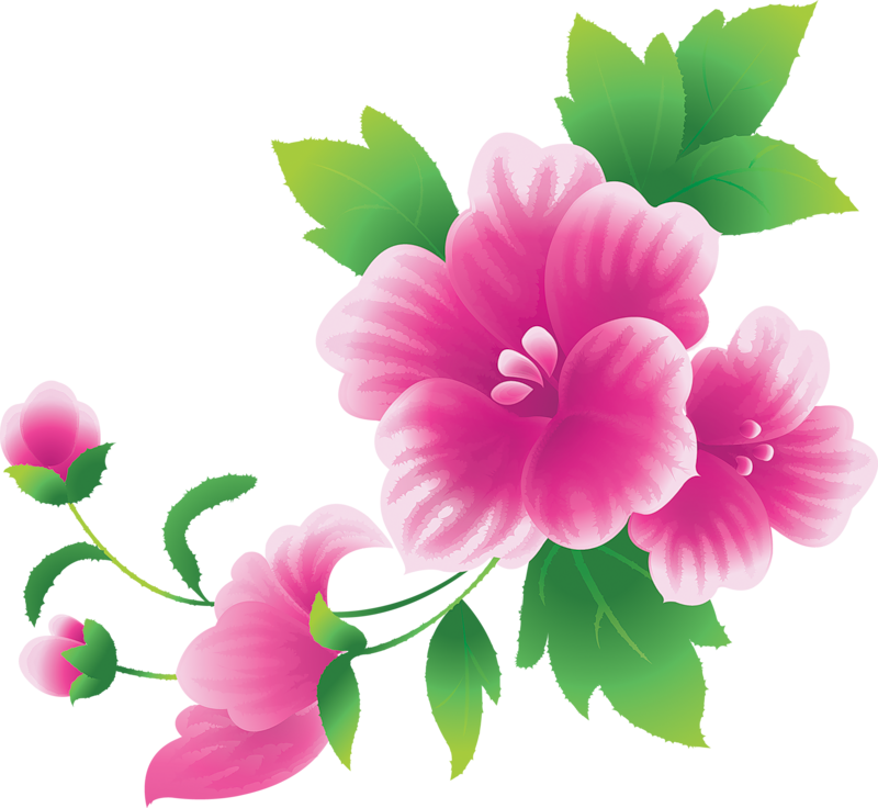 Wallpaper Flowers Free Download Banner Black And White - Flowers Clip Art Png , HD Wallpaper & Backgrounds