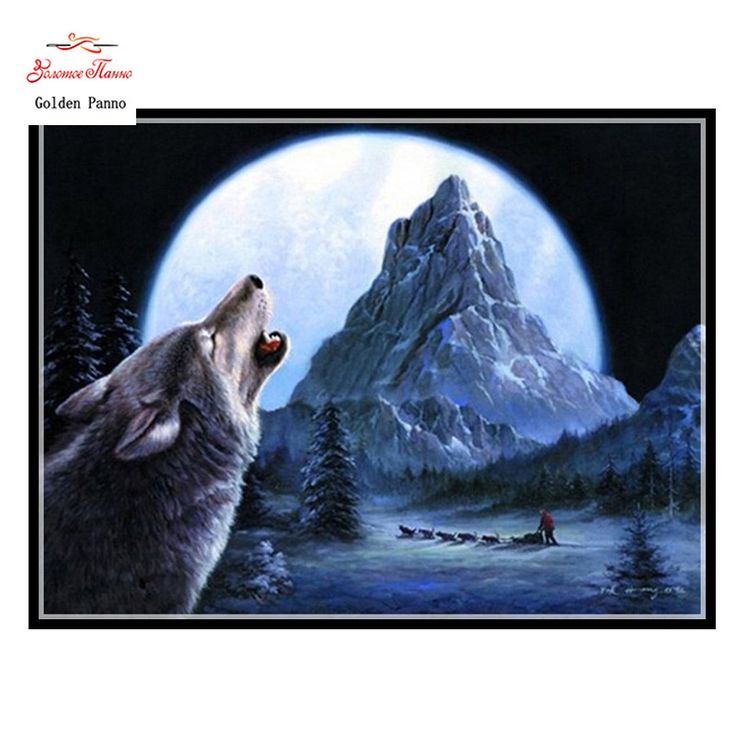 Lone Wolf - Картина Одинокий Волк , HD Wallpaper & Backgrounds