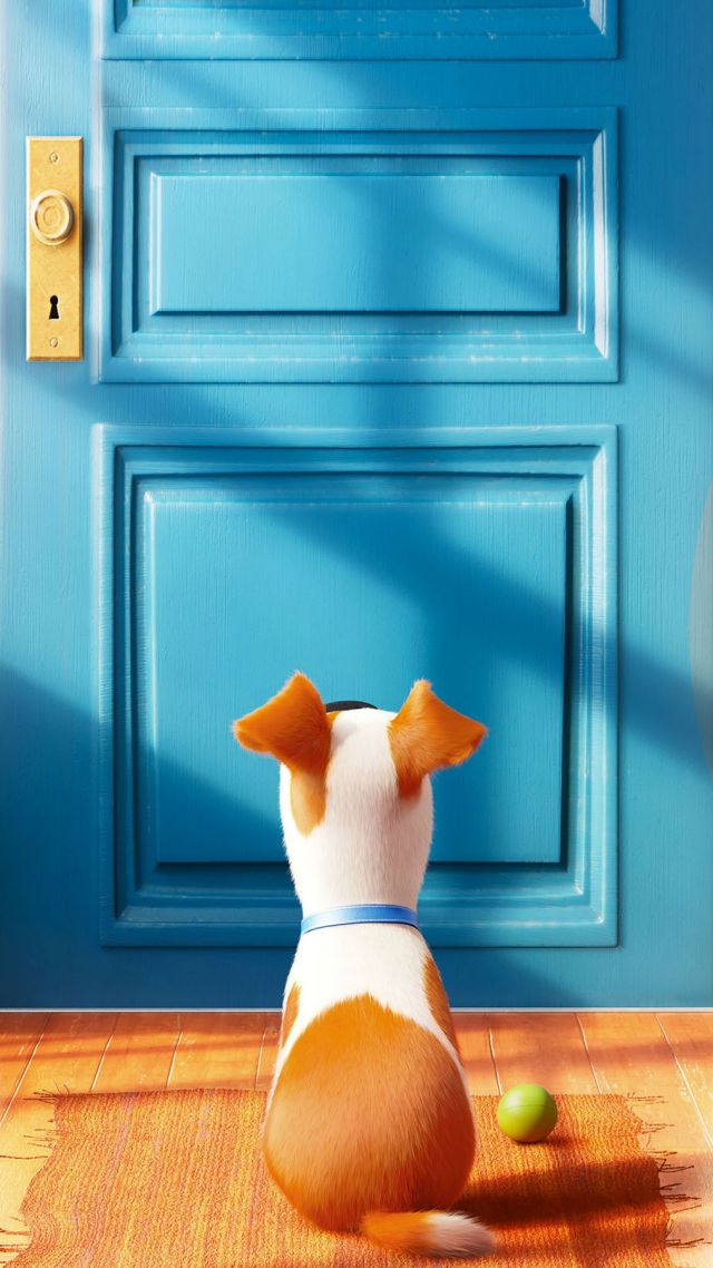 The Secret Life Of Pets, Best Animation Movies Of 2016, - Secret Life Of Pets Wallpaper Iphone , HD Wallpaper & Backgrounds