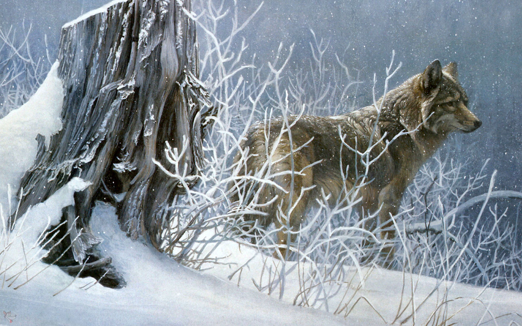 R Bateman Wolf Painting - Robert Bateman Wolf , HD Wallpaper & Backgrounds
