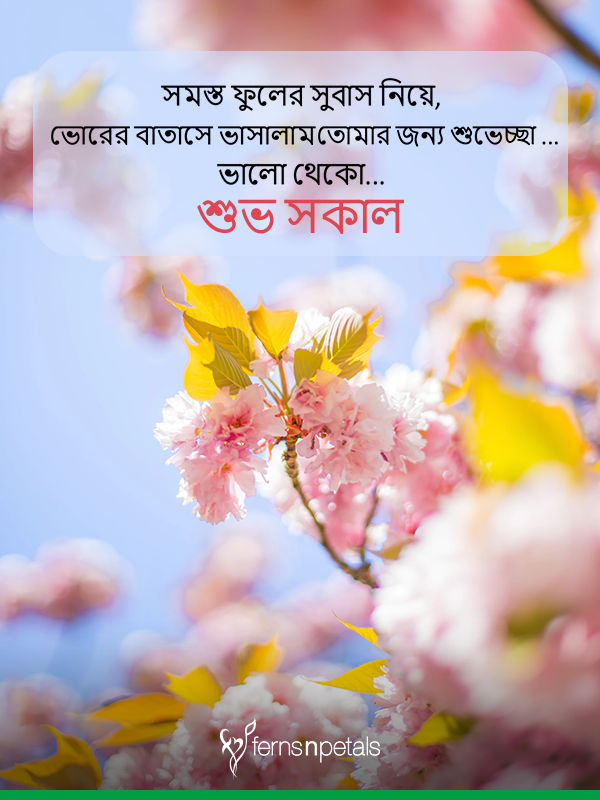 Good Morning Image In Bengali , HD Wallpaper & Backgrounds