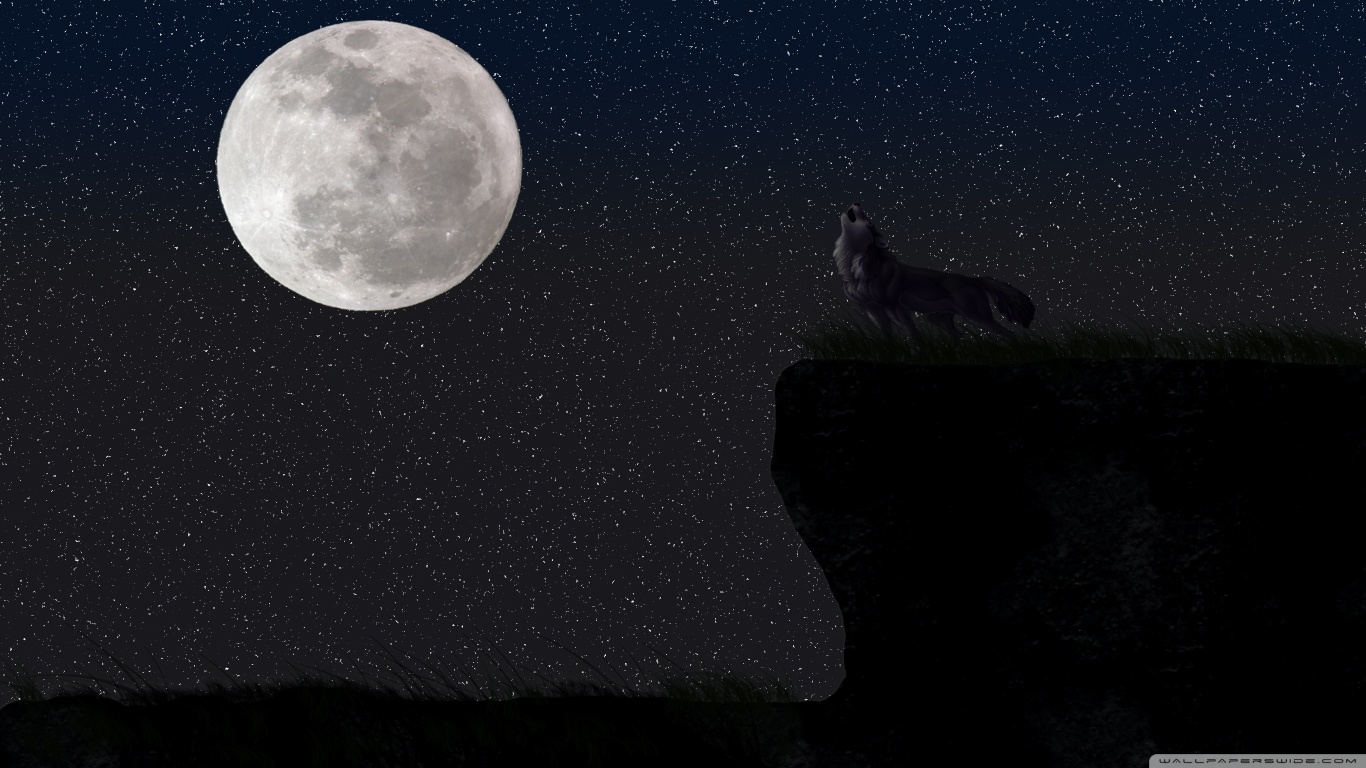 Full Moon Wallpaper Wolf , HD Wallpaper & Backgrounds