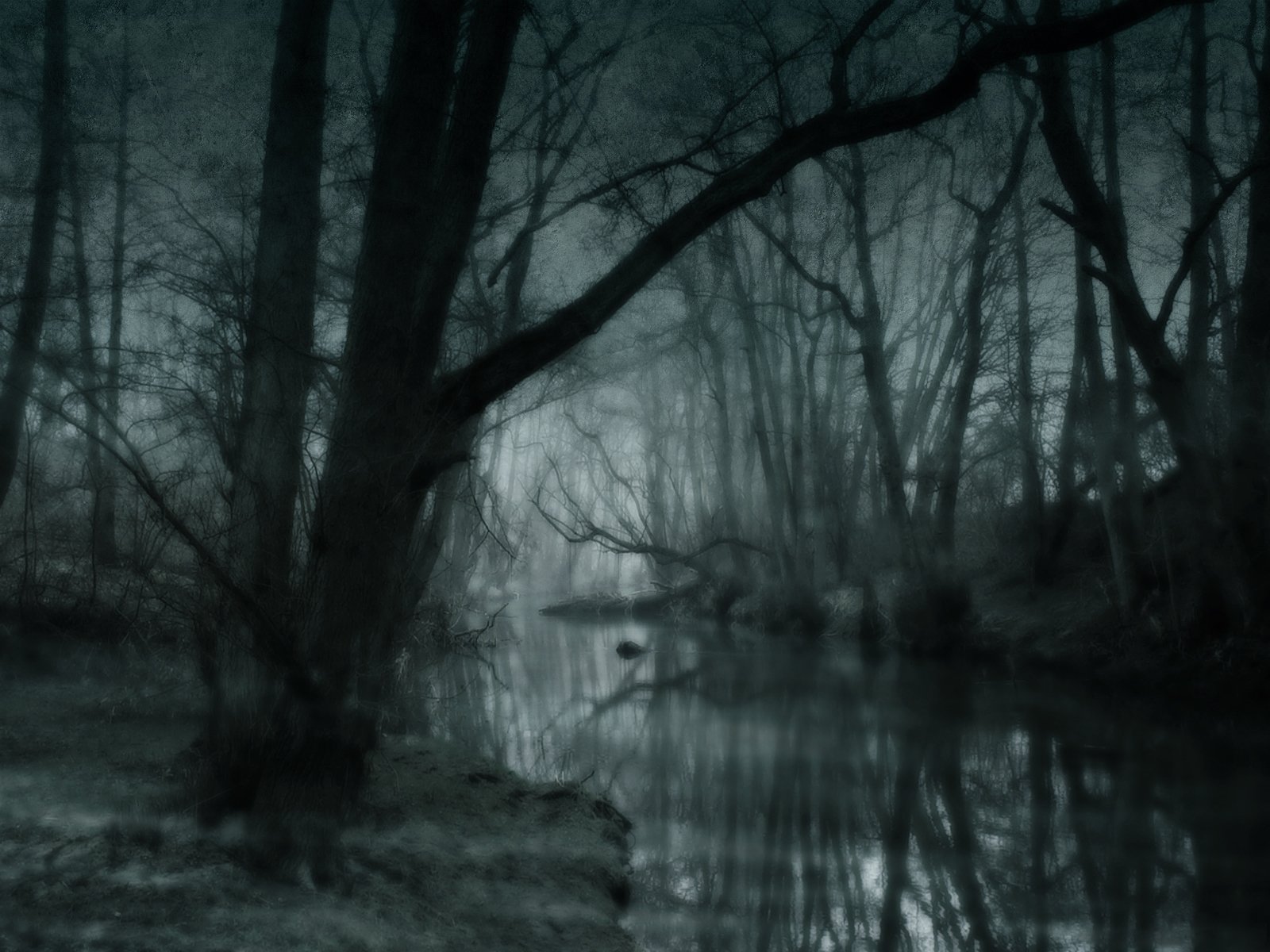 Dark Swamp , HD Wallpaper & Backgrounds