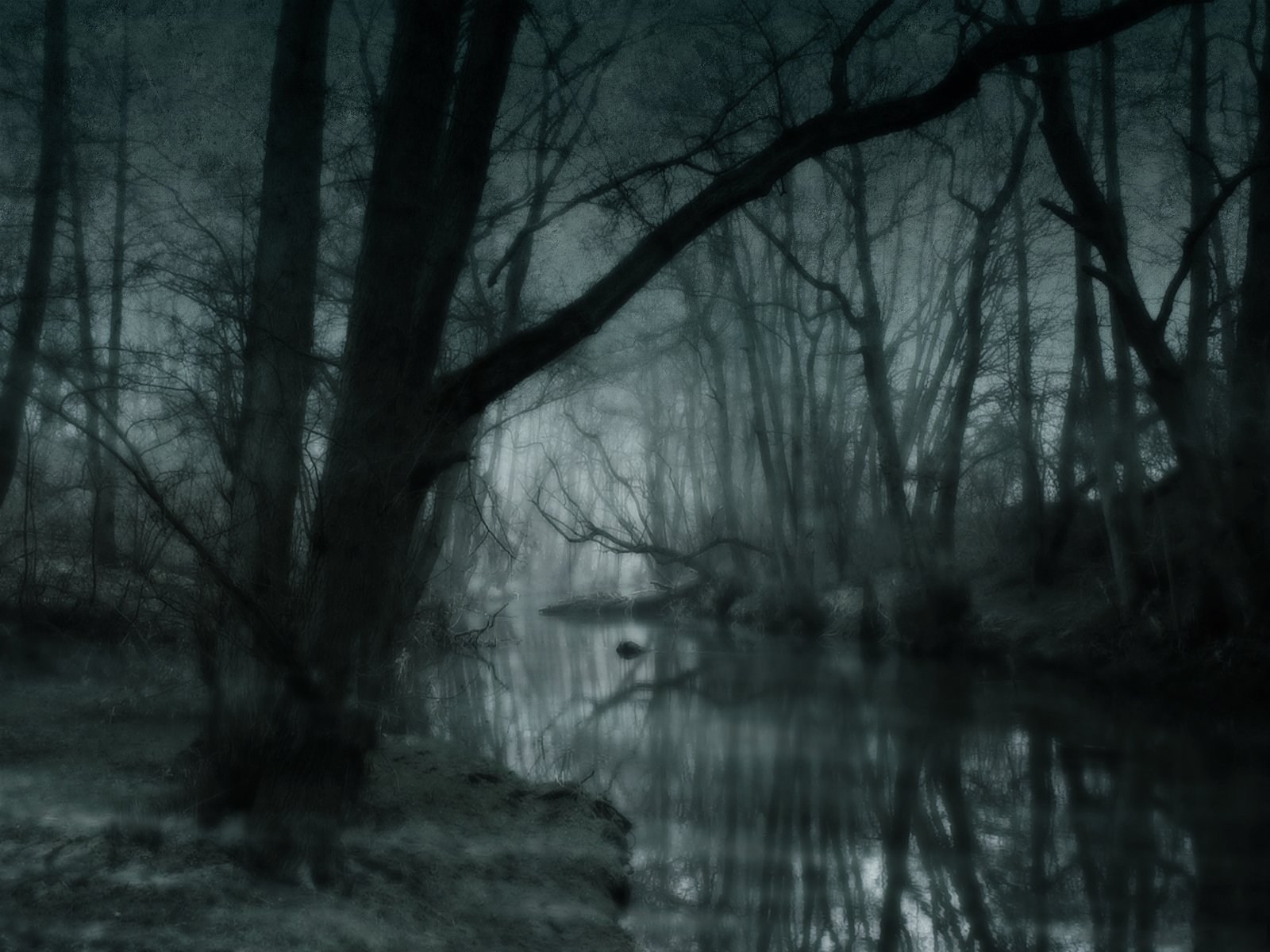 Dark Swamp (#2521119) - HD Wallpaper & Backgrounds Download